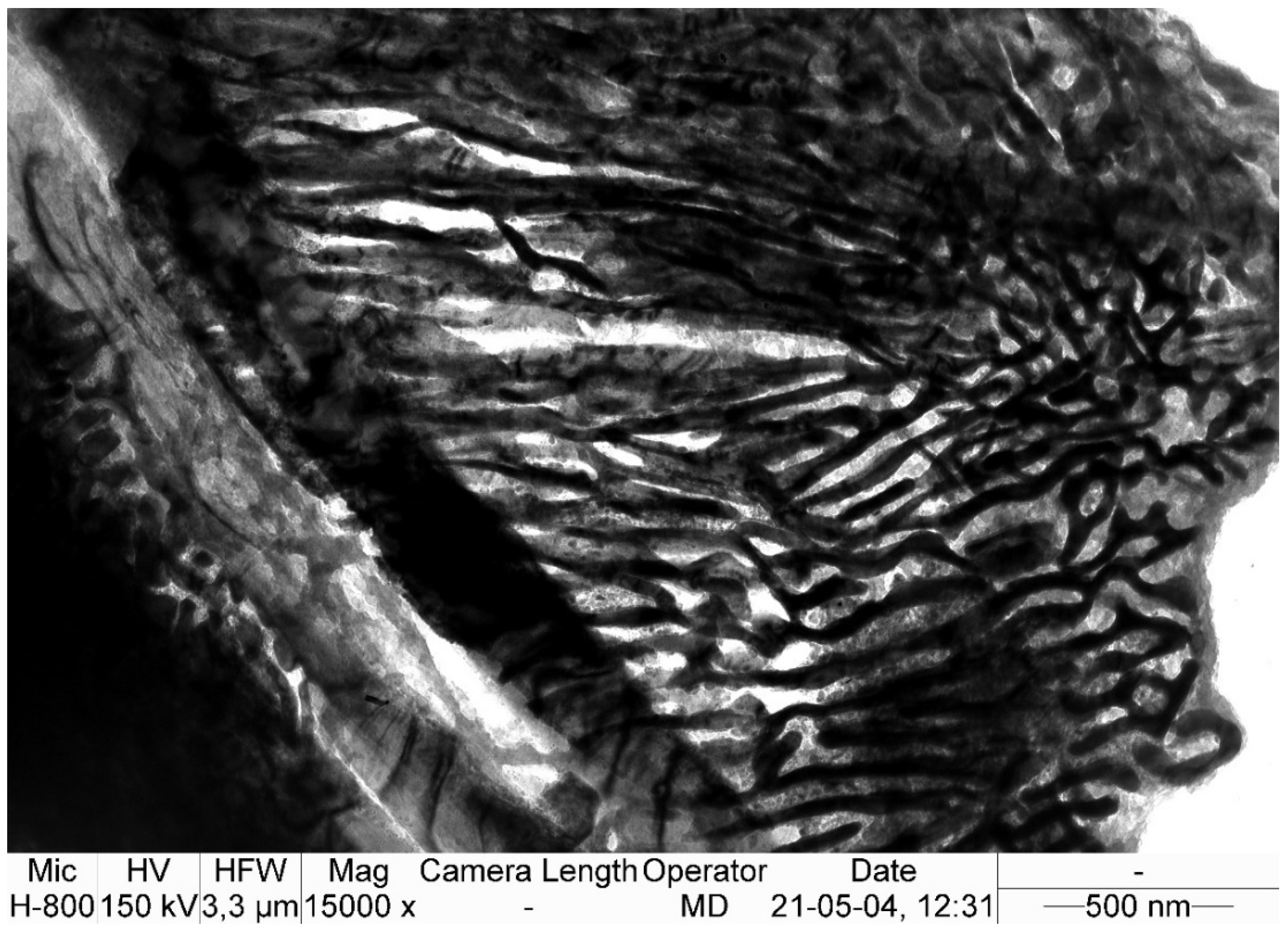 Materials 15 02622 g004