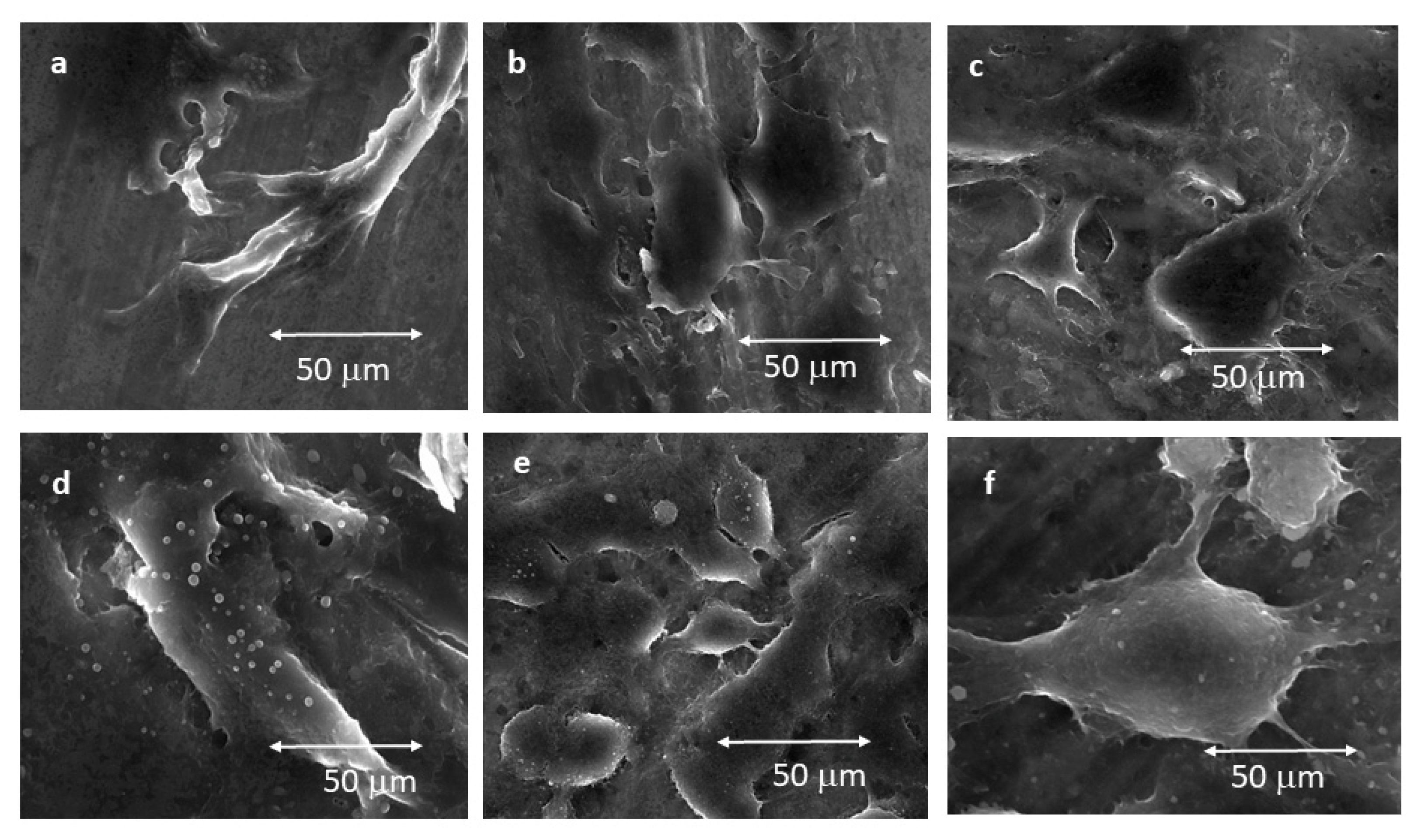 Materials 15 02651 g006