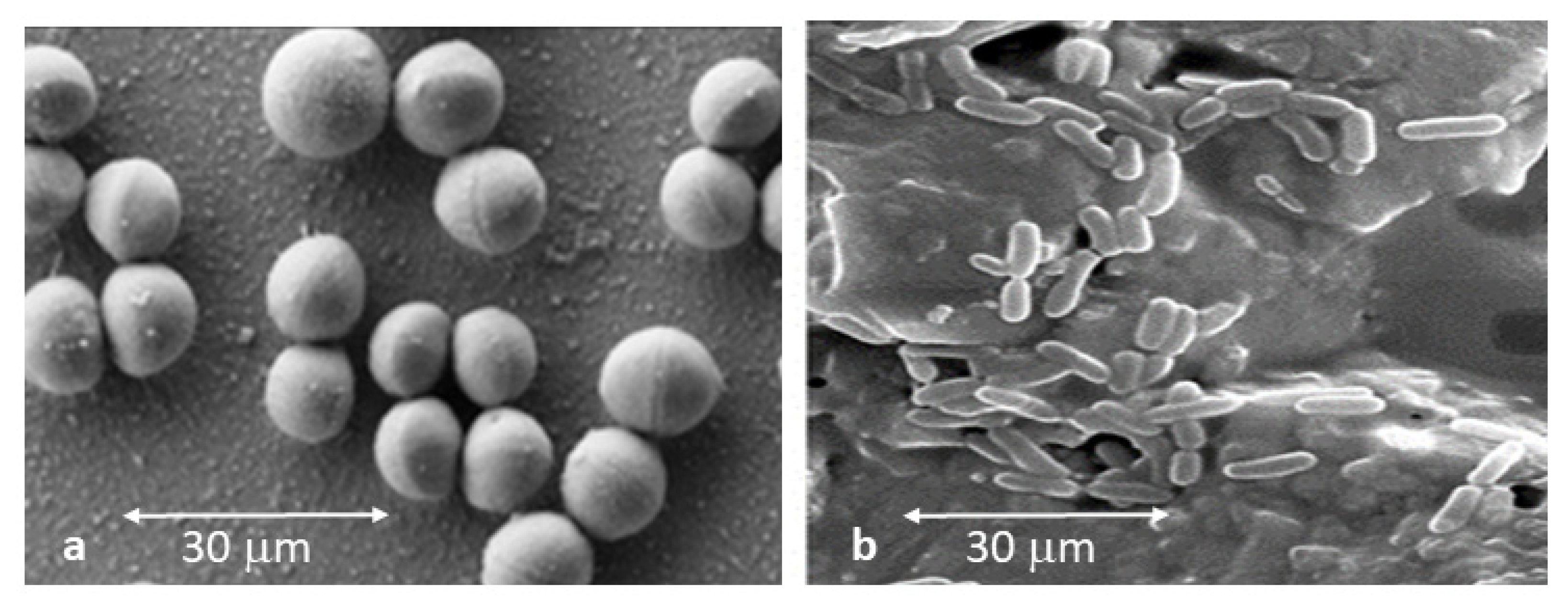 Materials 15 02651 g007