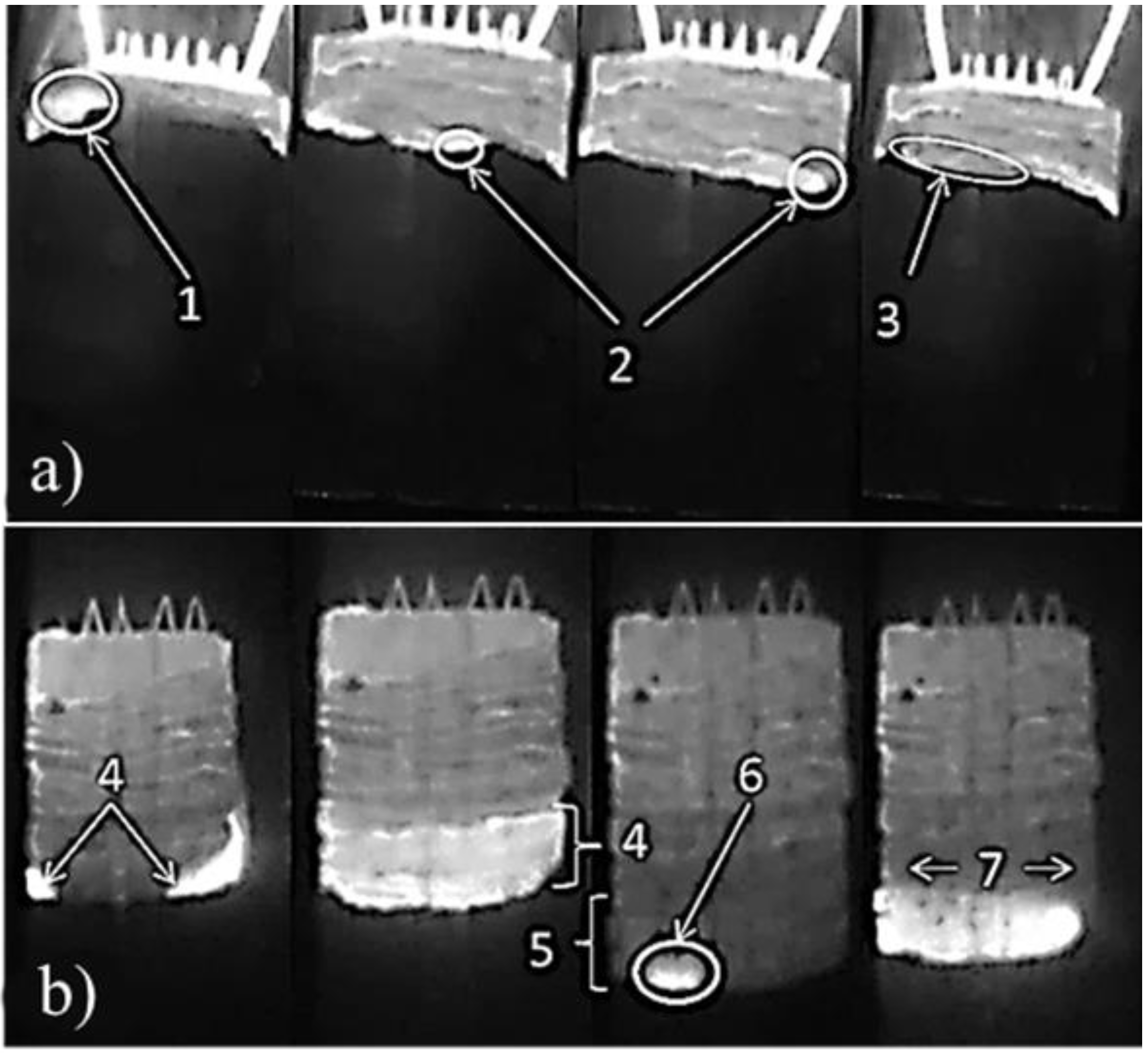 Materials 15 02668 g002