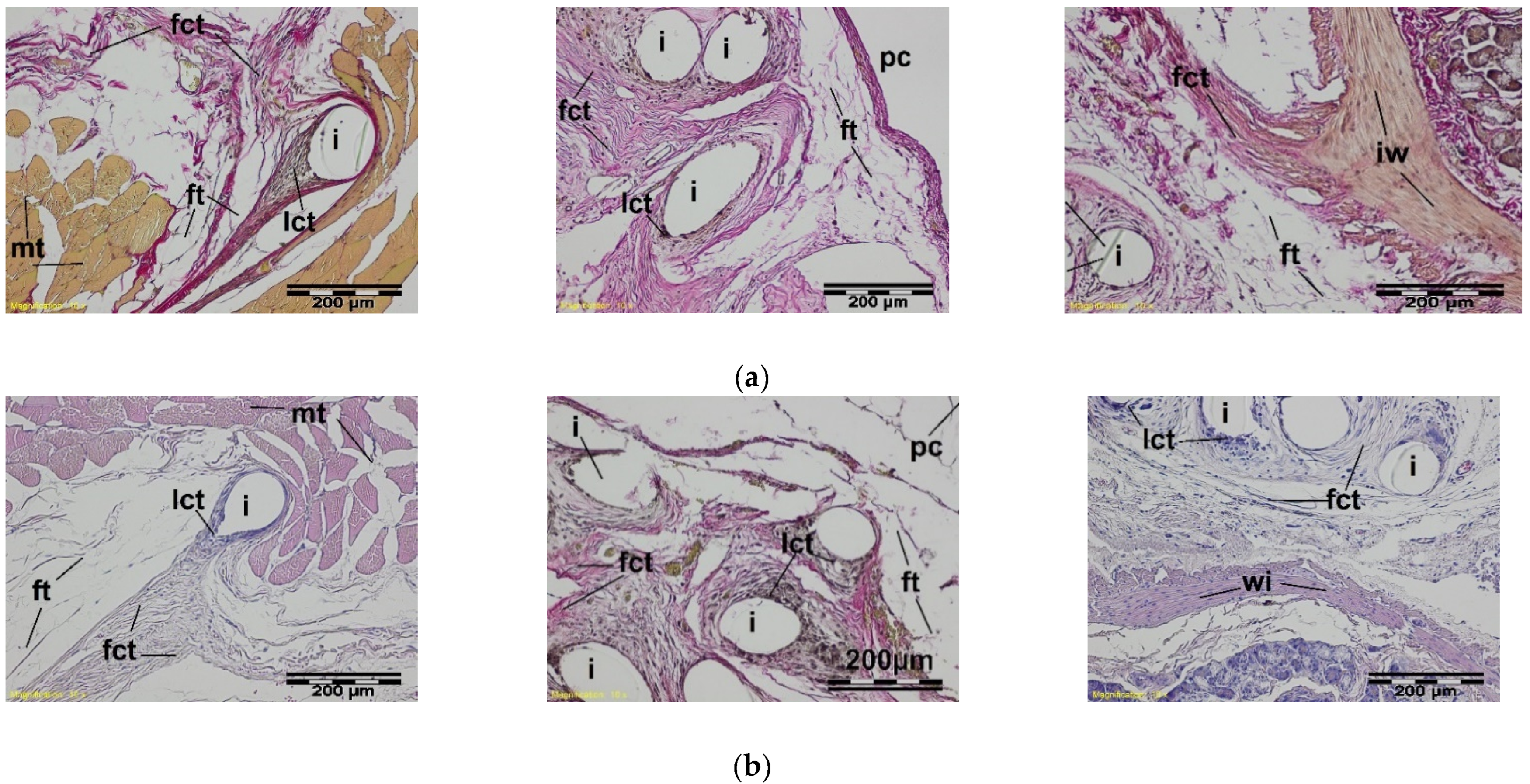 Materials 15 02671 g011 Materials 15 02671 g011
