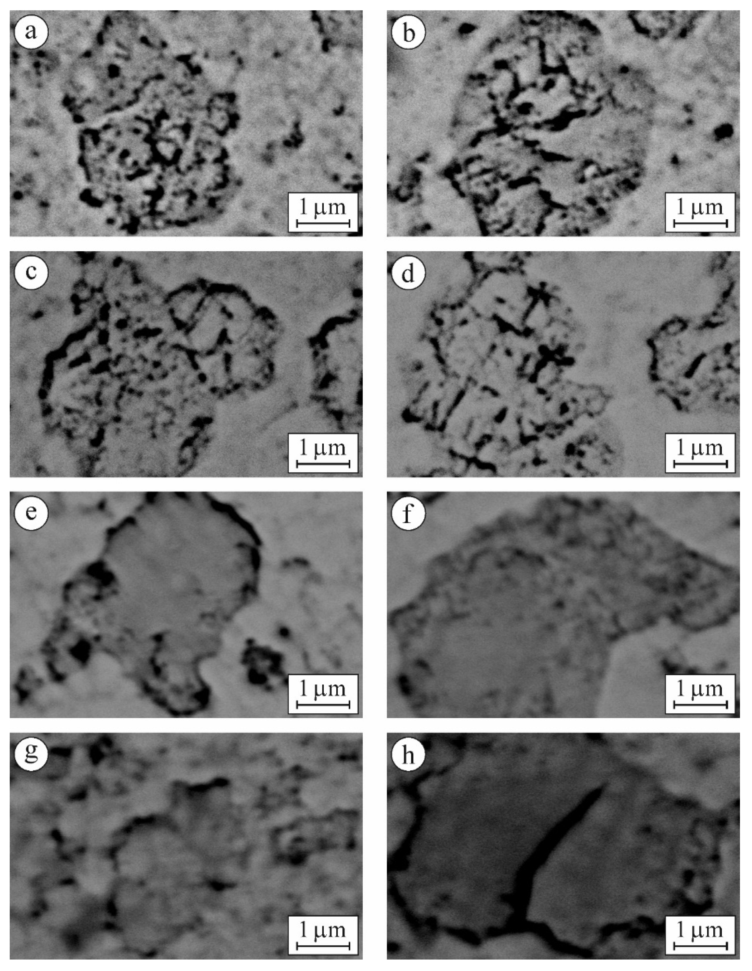 Materials 15 02707 g007