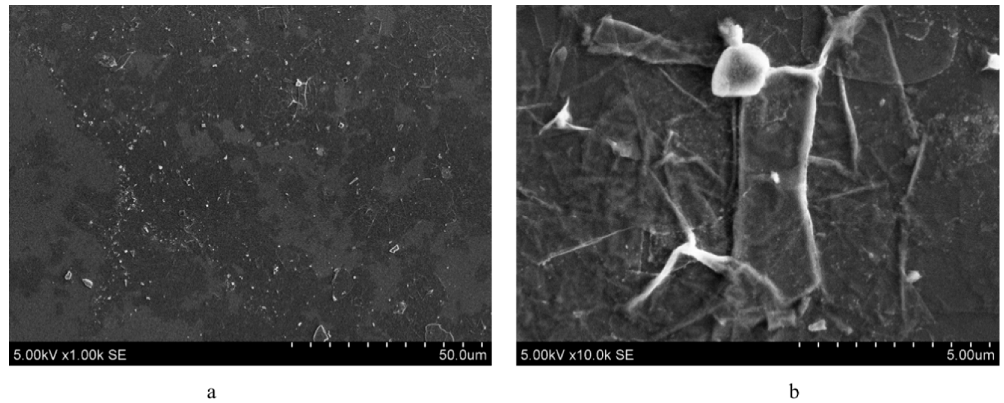 Materials 15 02730 g001