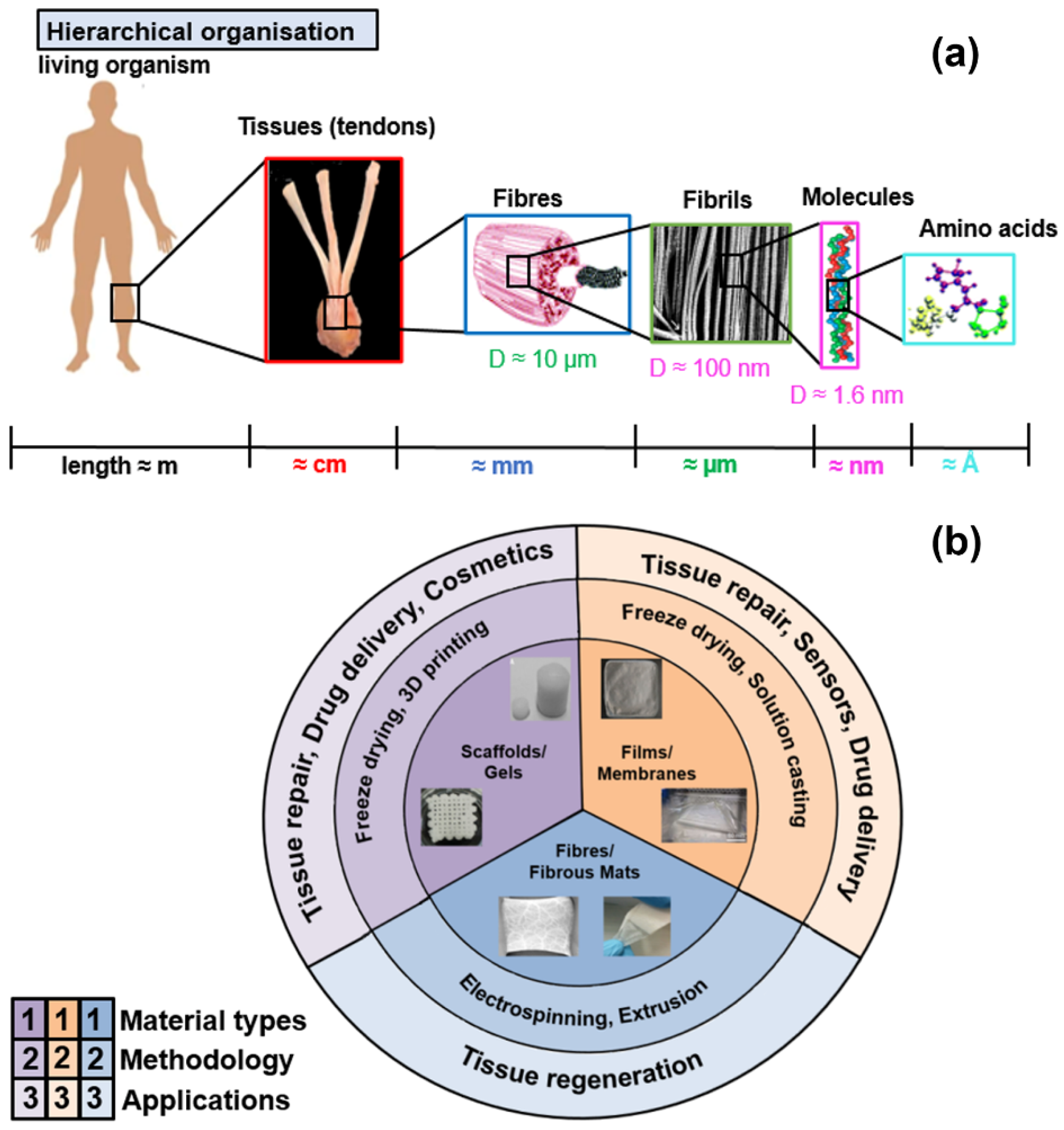 Materials 15 02753 g001