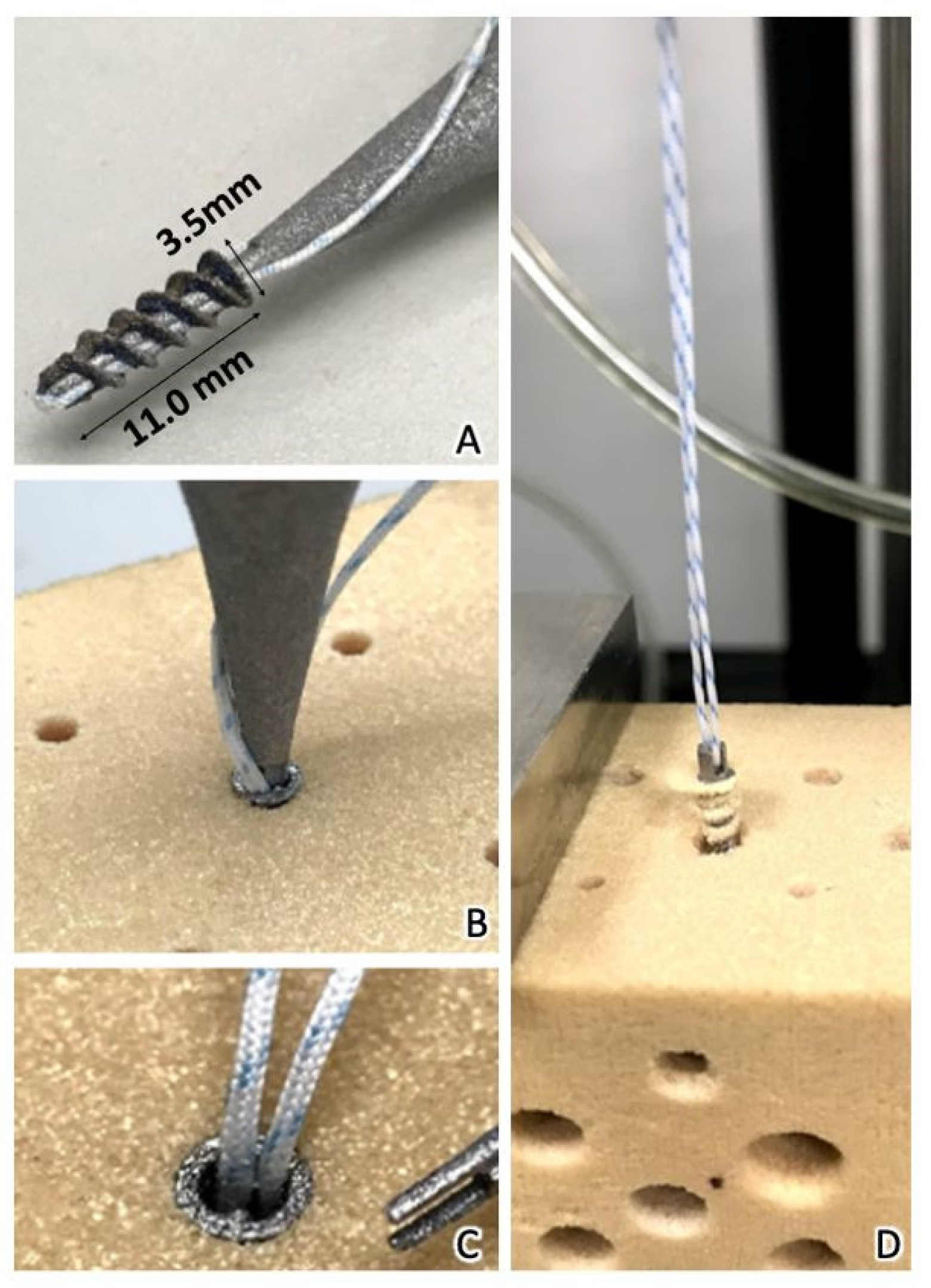 Materials 15 02801 g002