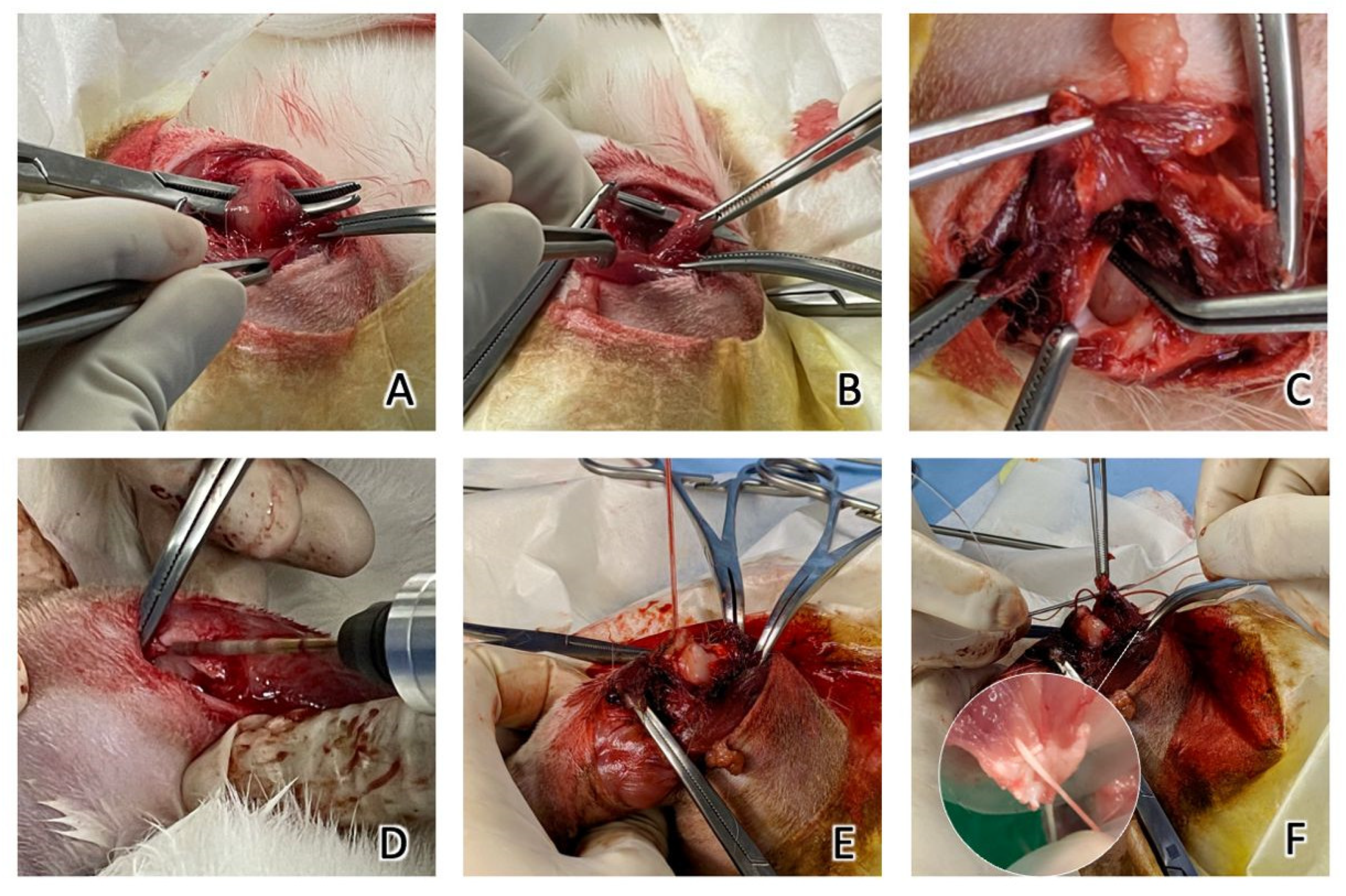 Materials 15 02801 g003