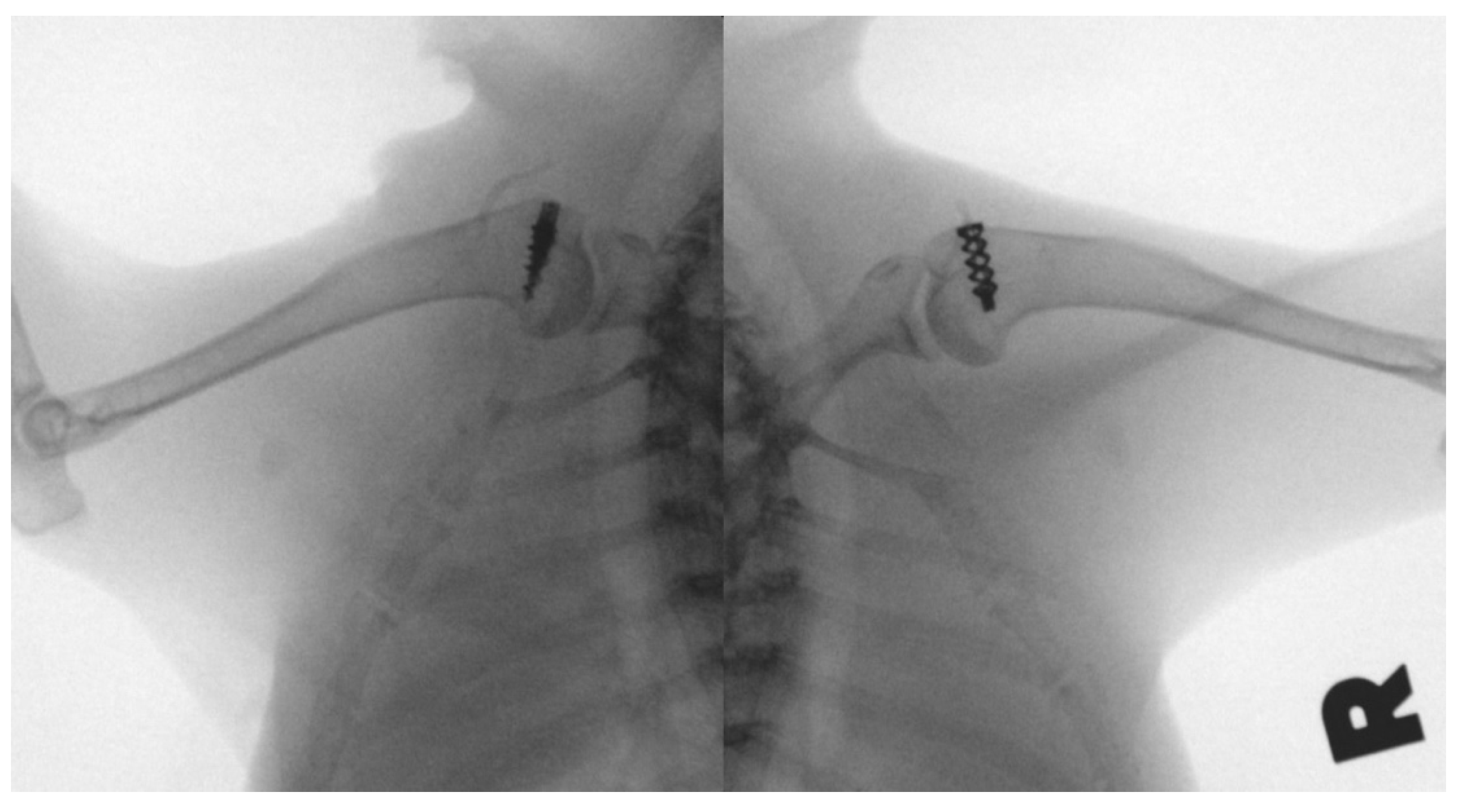 Materials 15 02801 g004