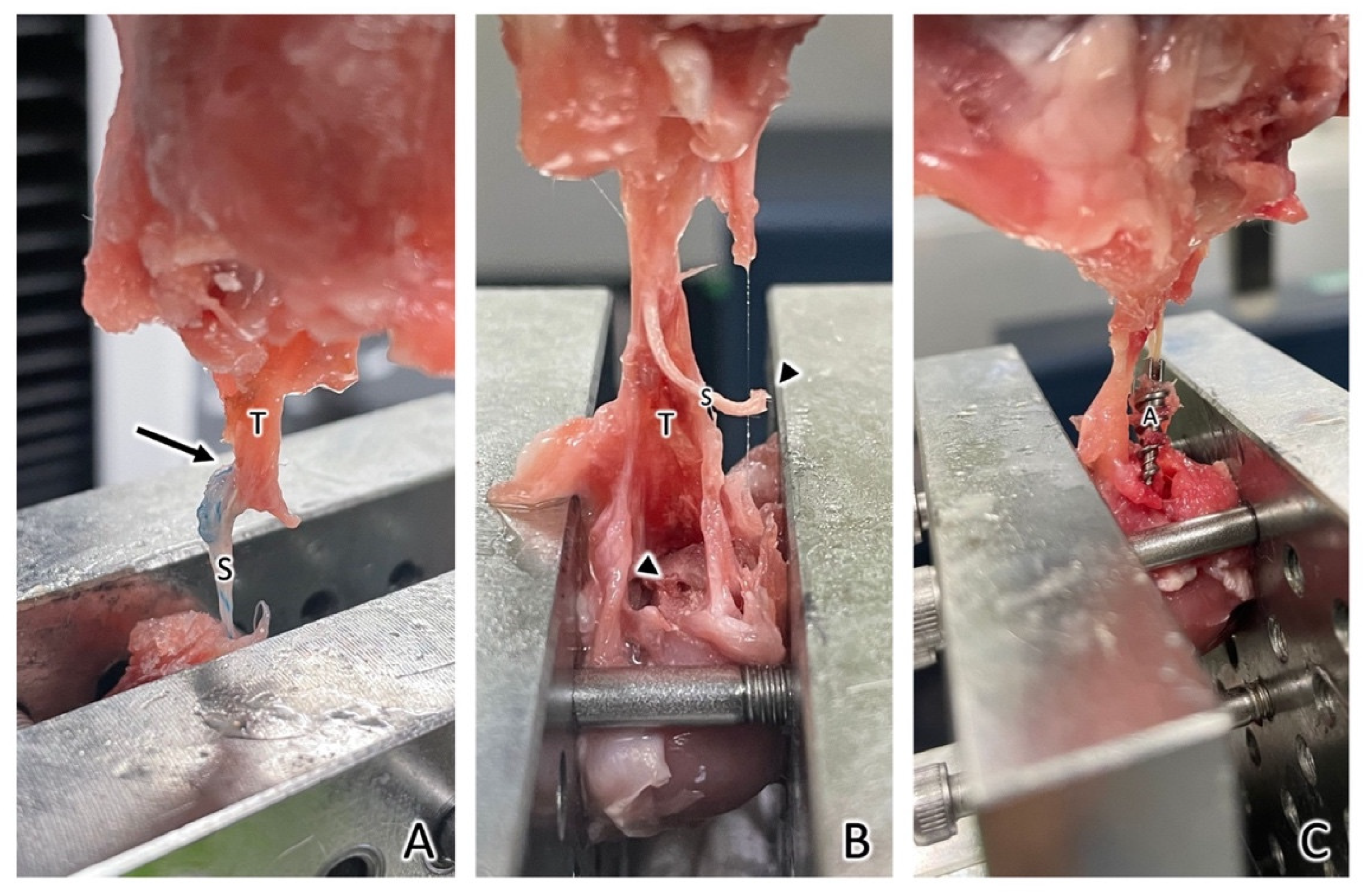 Materials 15 02801 g009