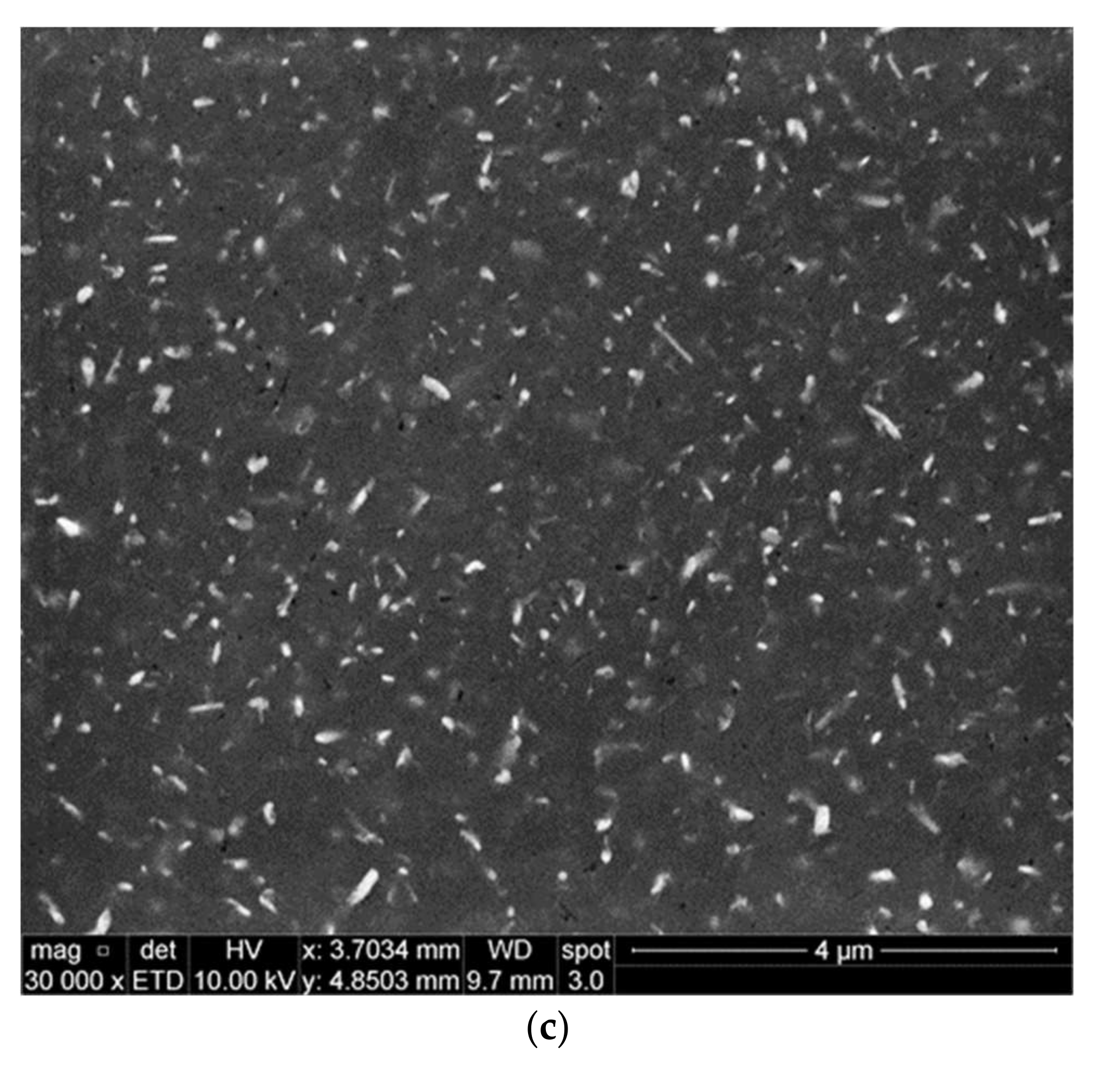 Materials 15 02830 g005b Materials 15 02830 g005b