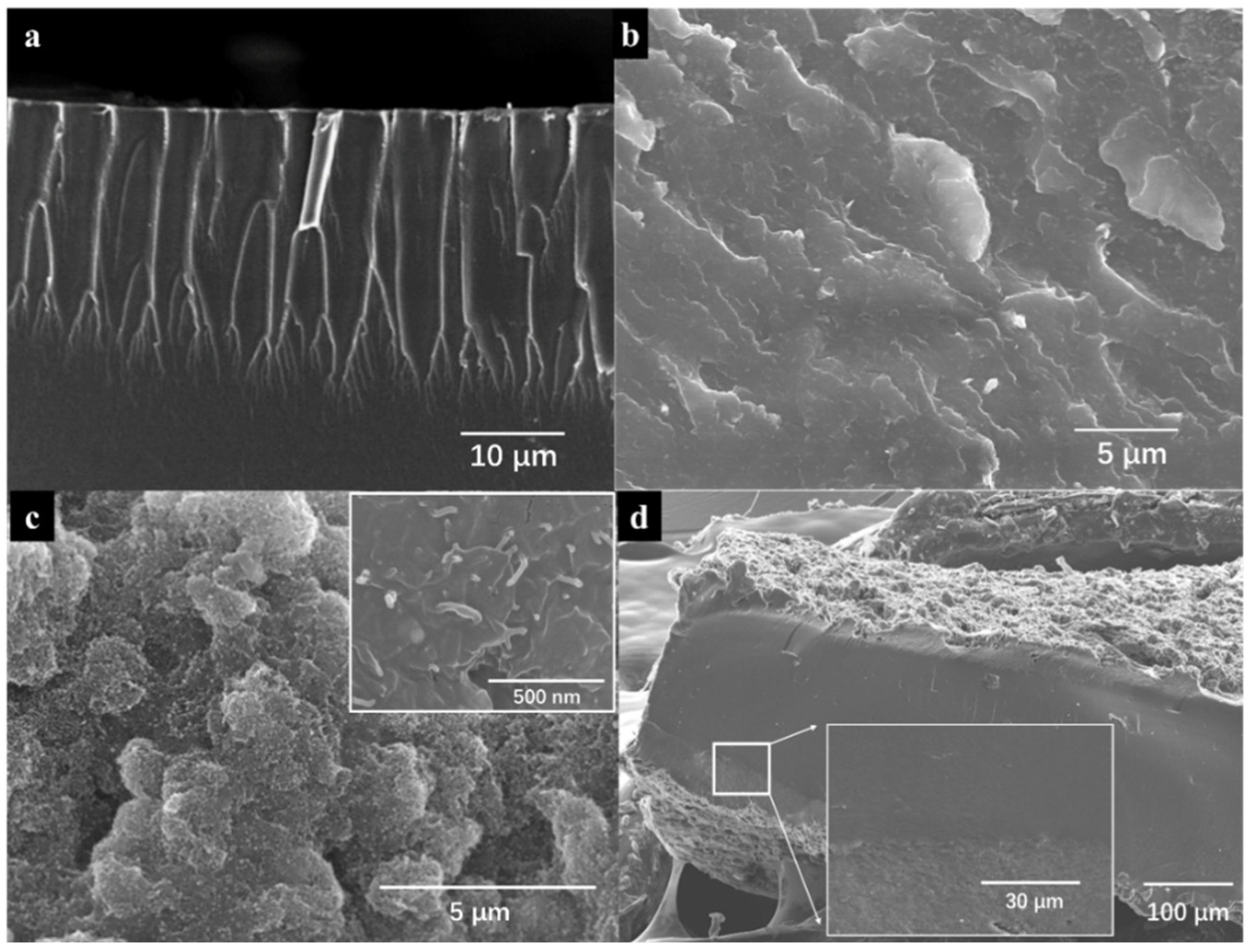 Materials 15 02833 g004