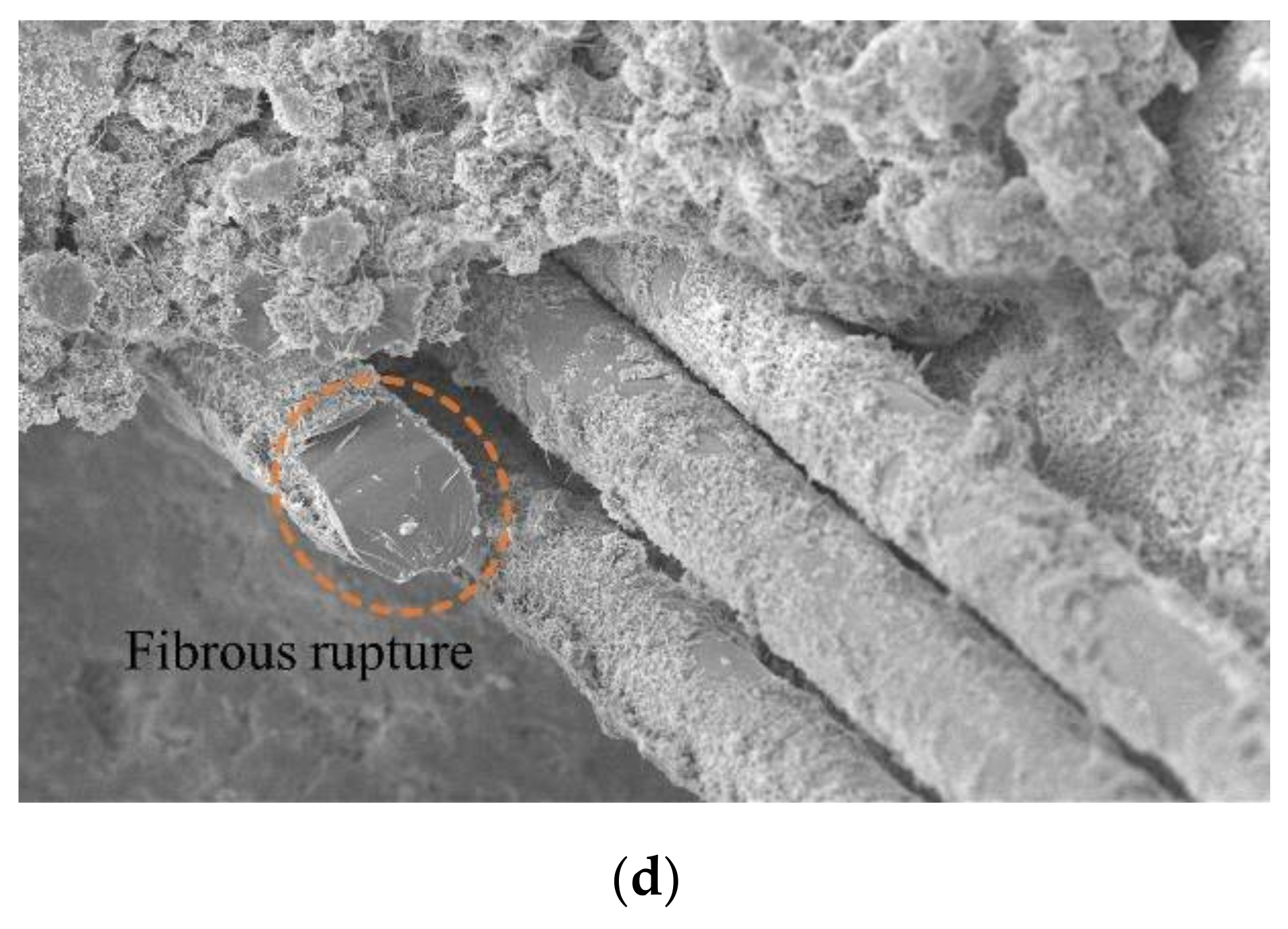 Materials 15 02860 g011b