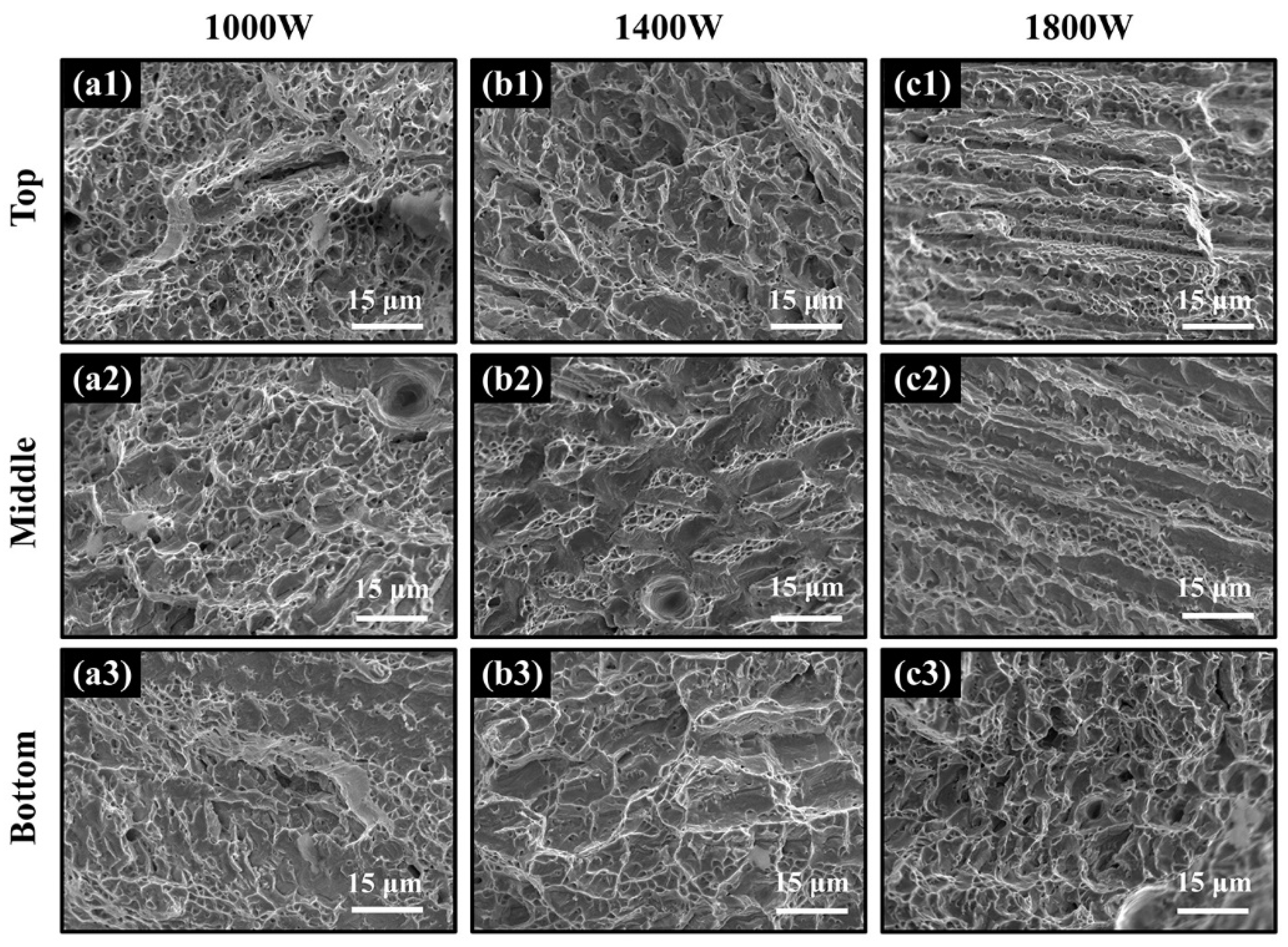 Materials 15 02894 g010