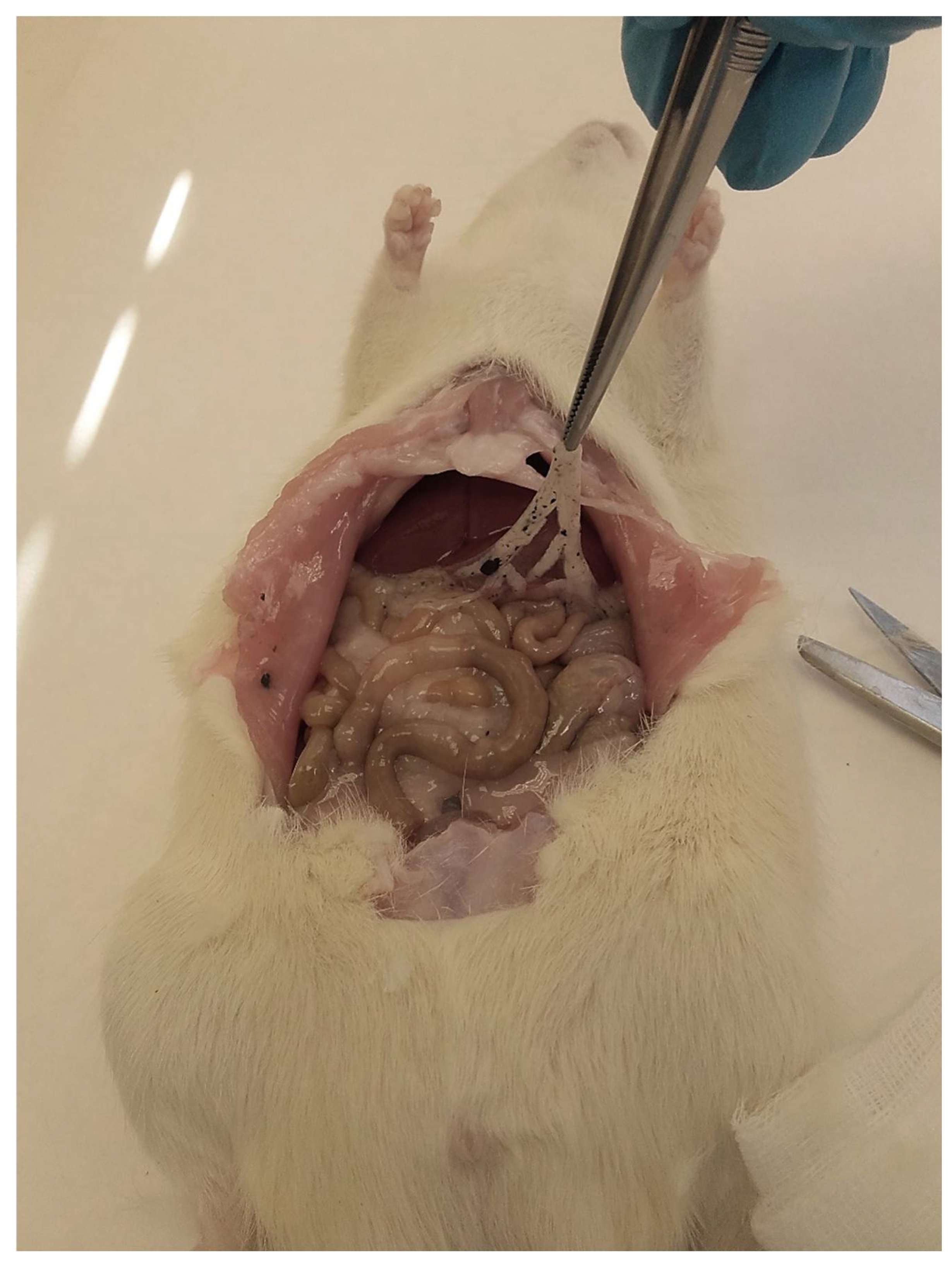 Materials 15 02898 g001