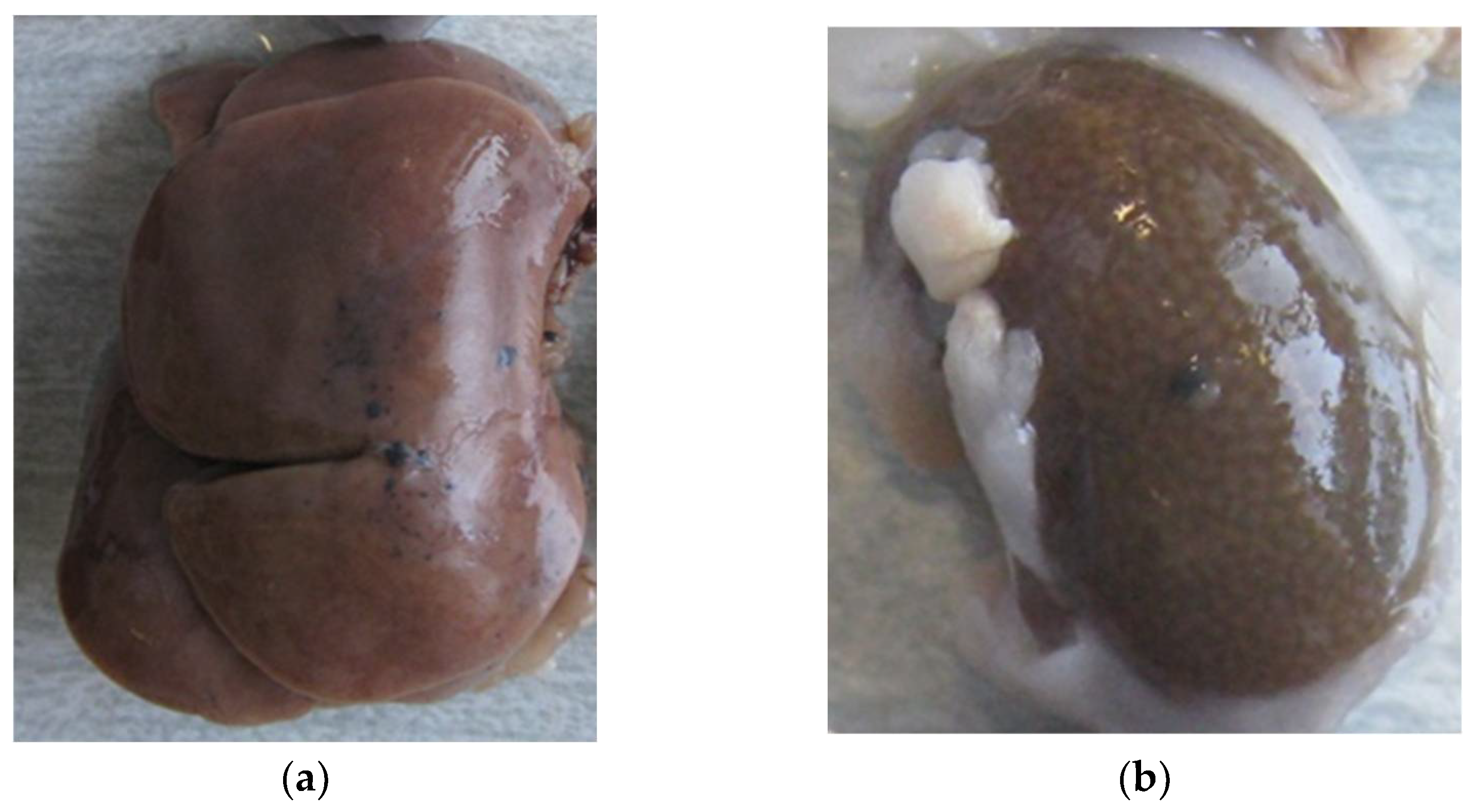 Materials 15 02898 g002