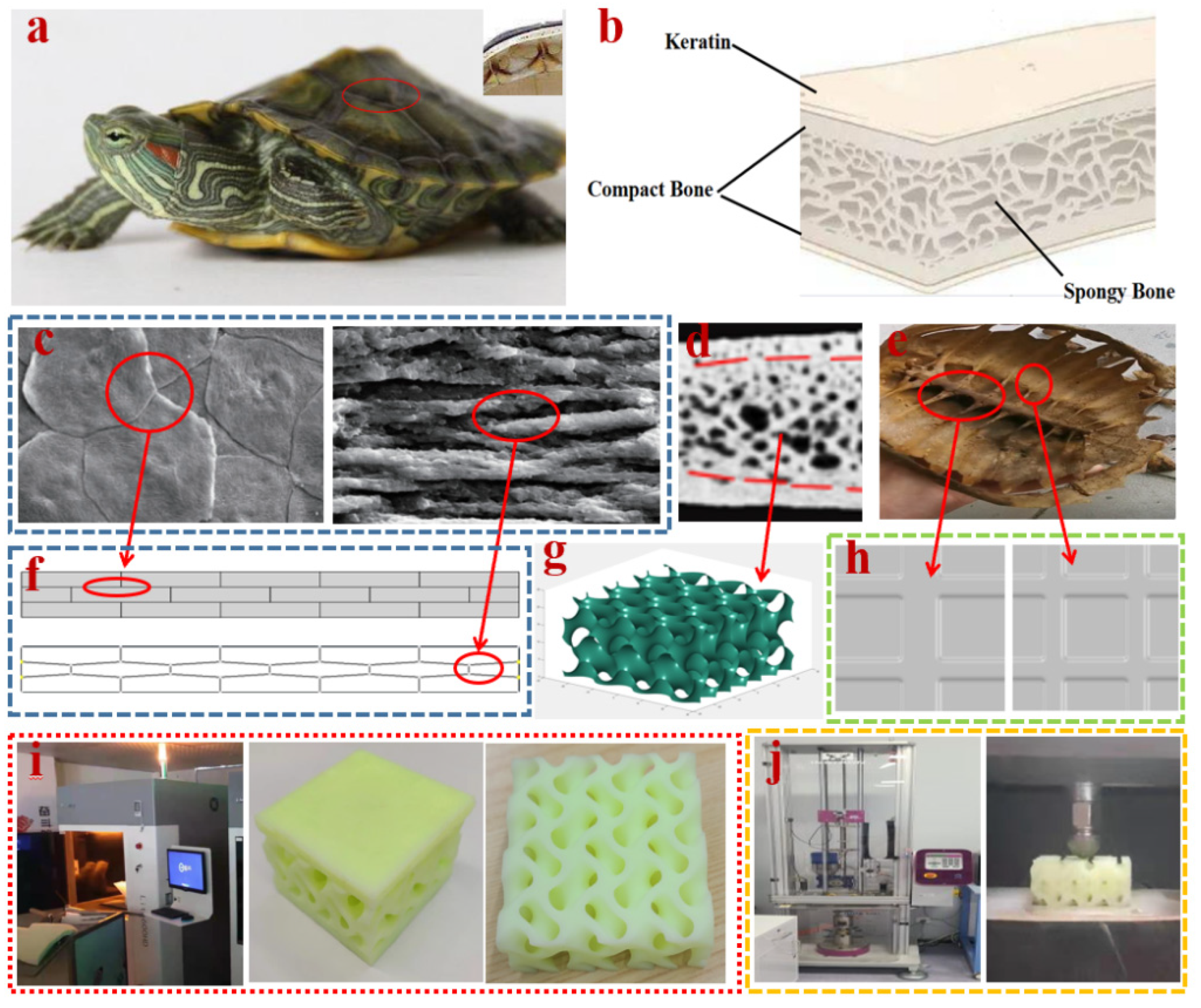 Materials 15 02899 g001