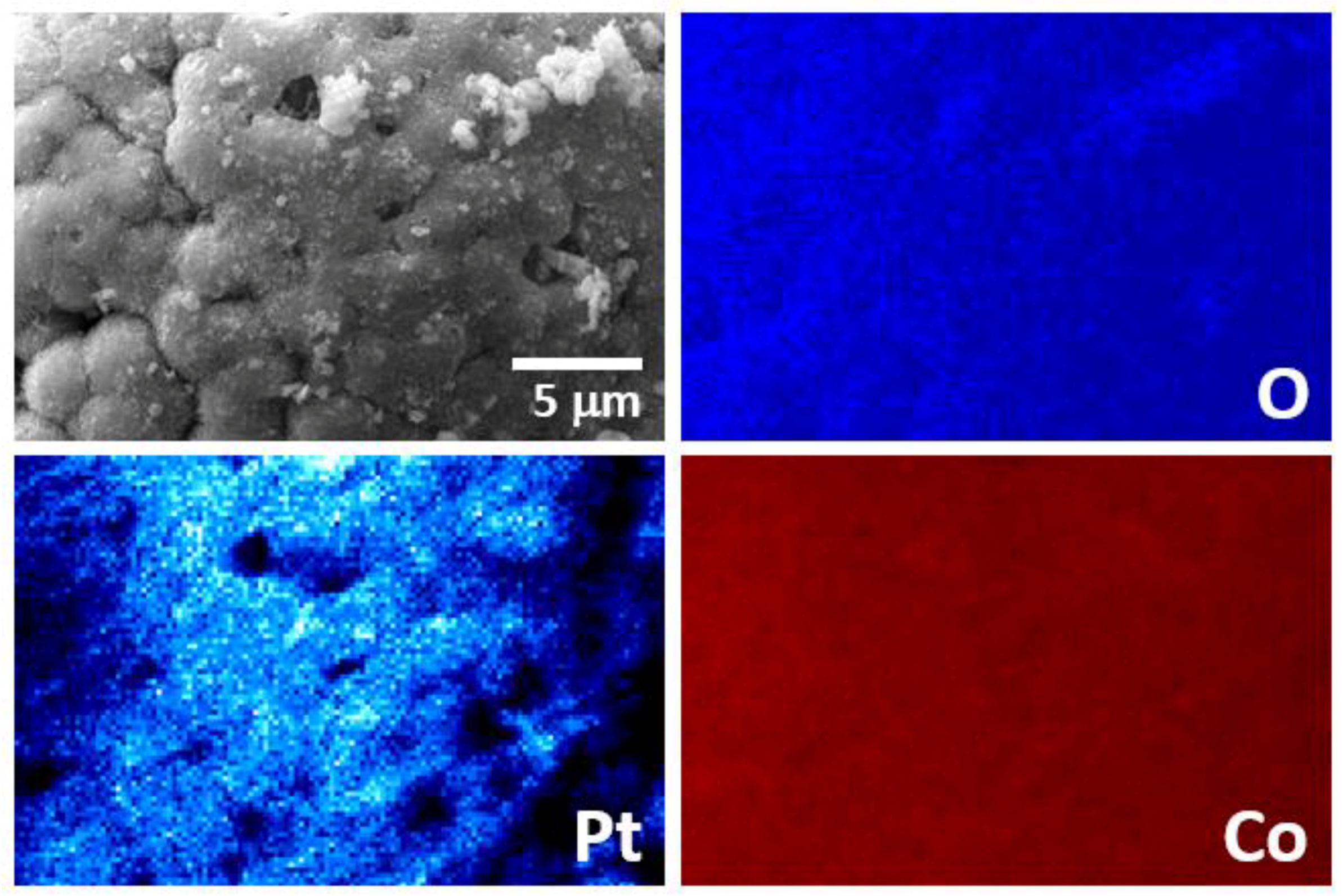 Materials 15 03010 g010