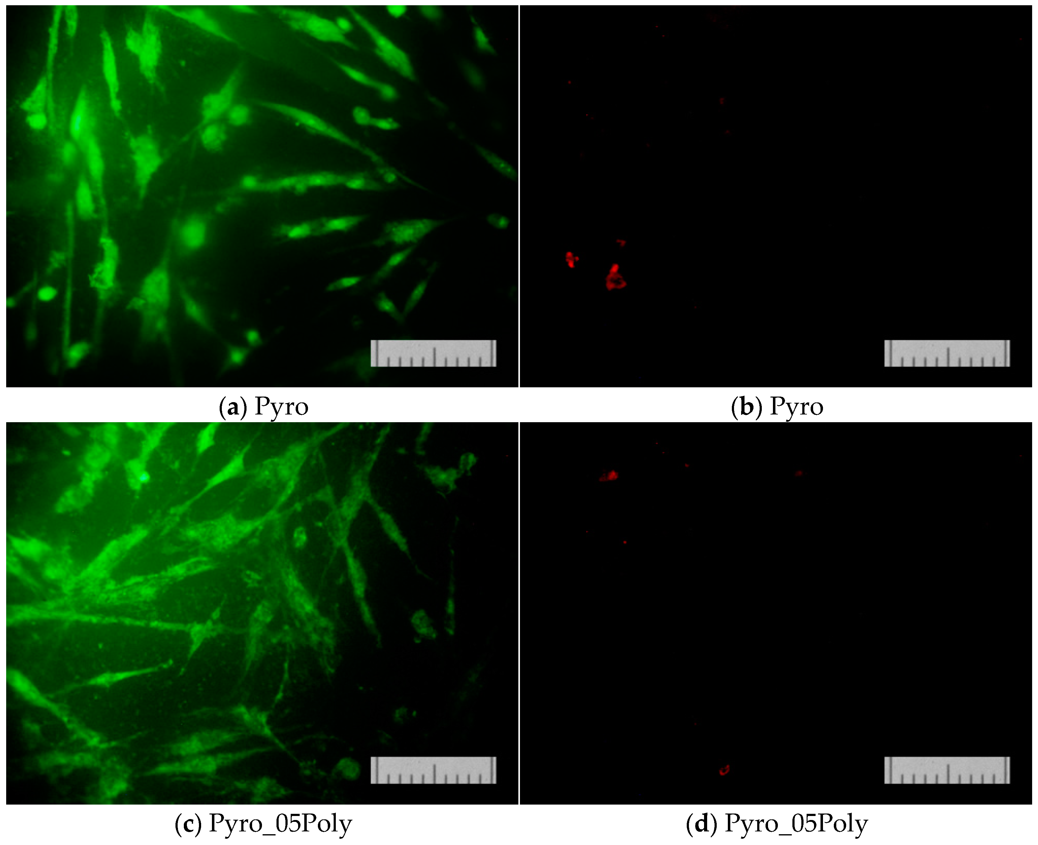 Materials 15 03105 g013a