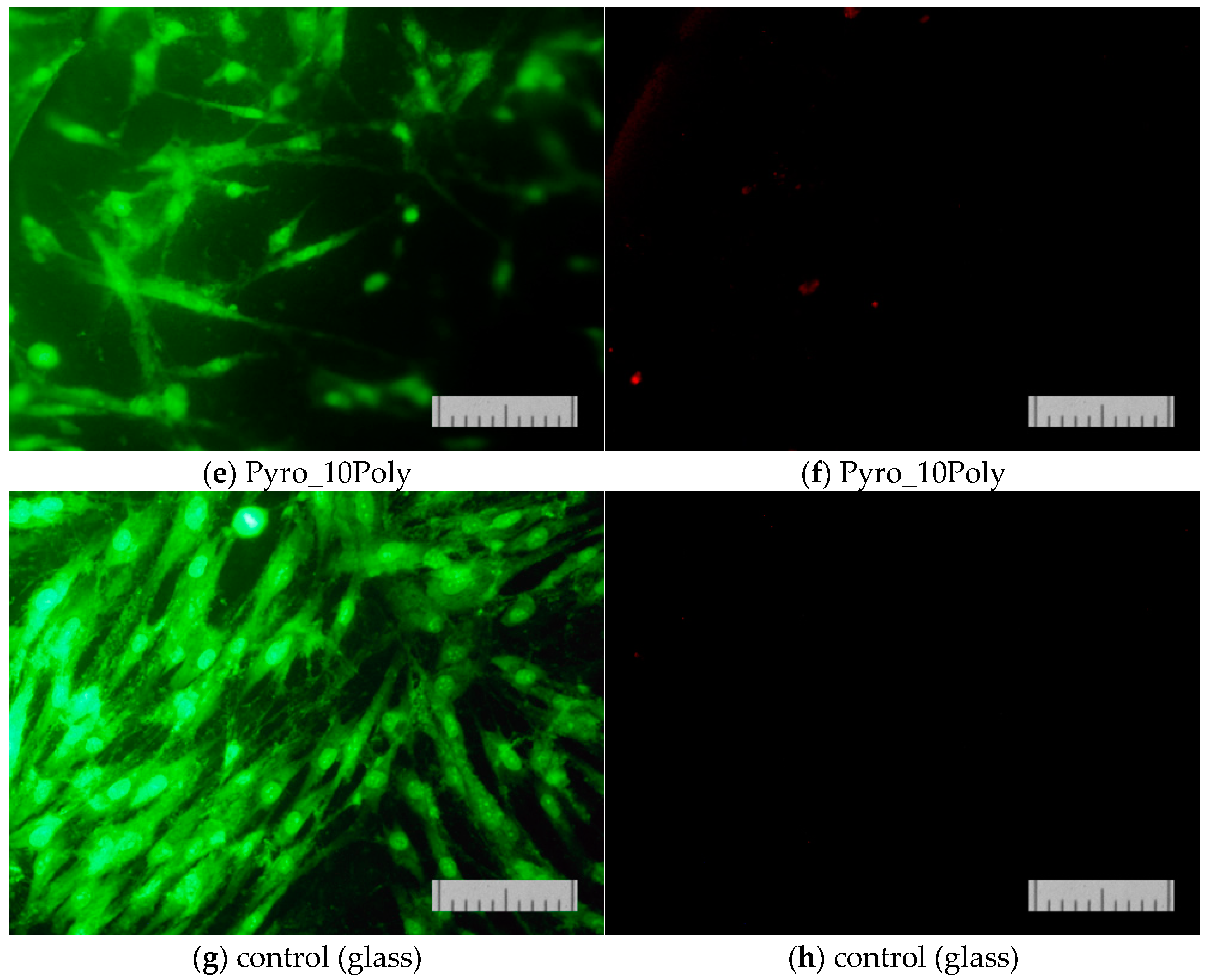Materials 15 03105 g013b
