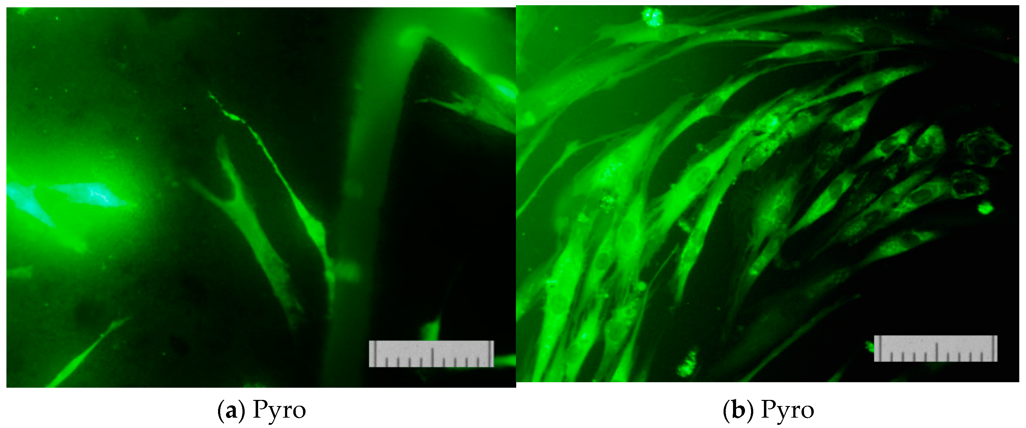 Materials 15 03105 g014a