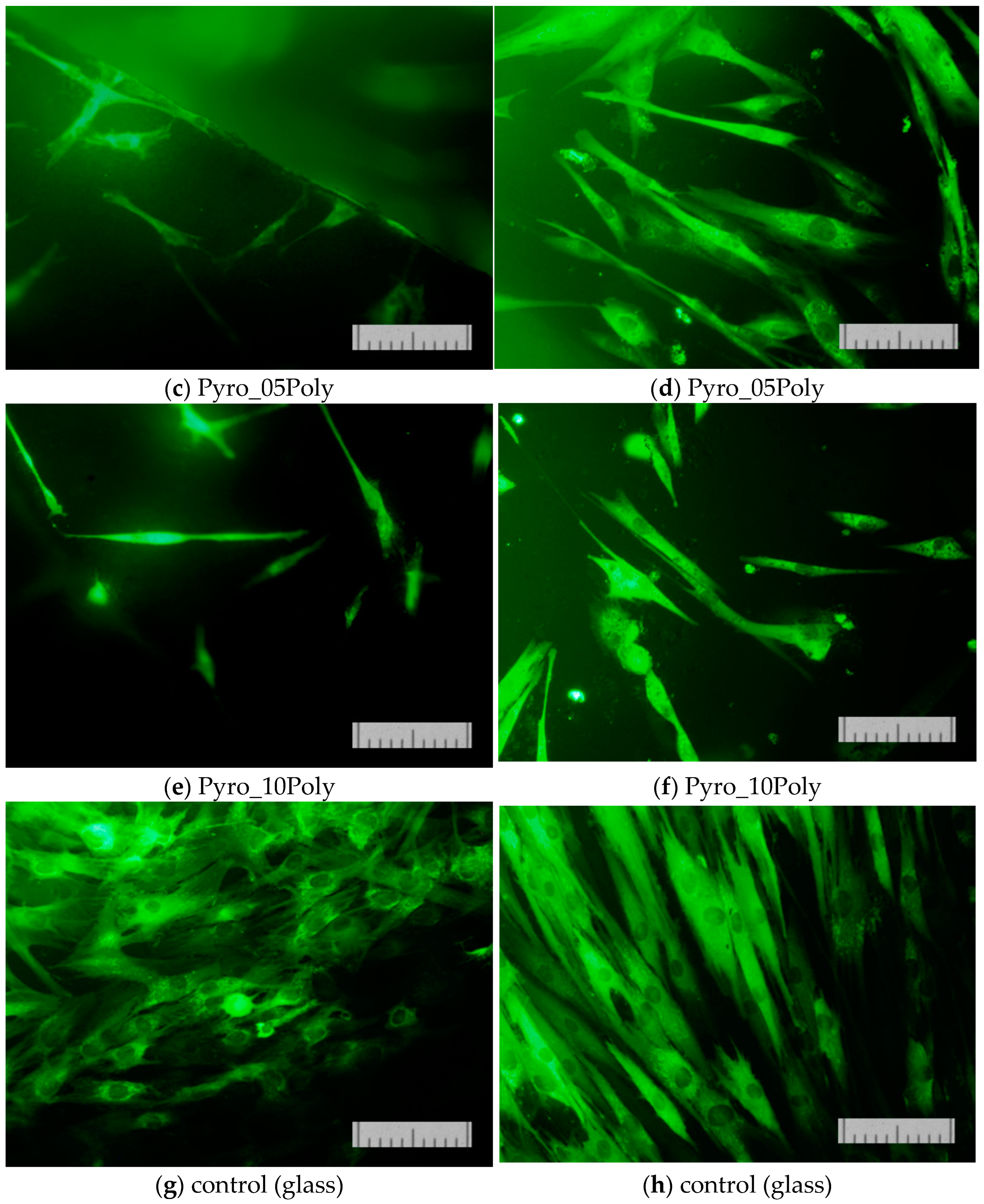 Materials 15 03105 g014b