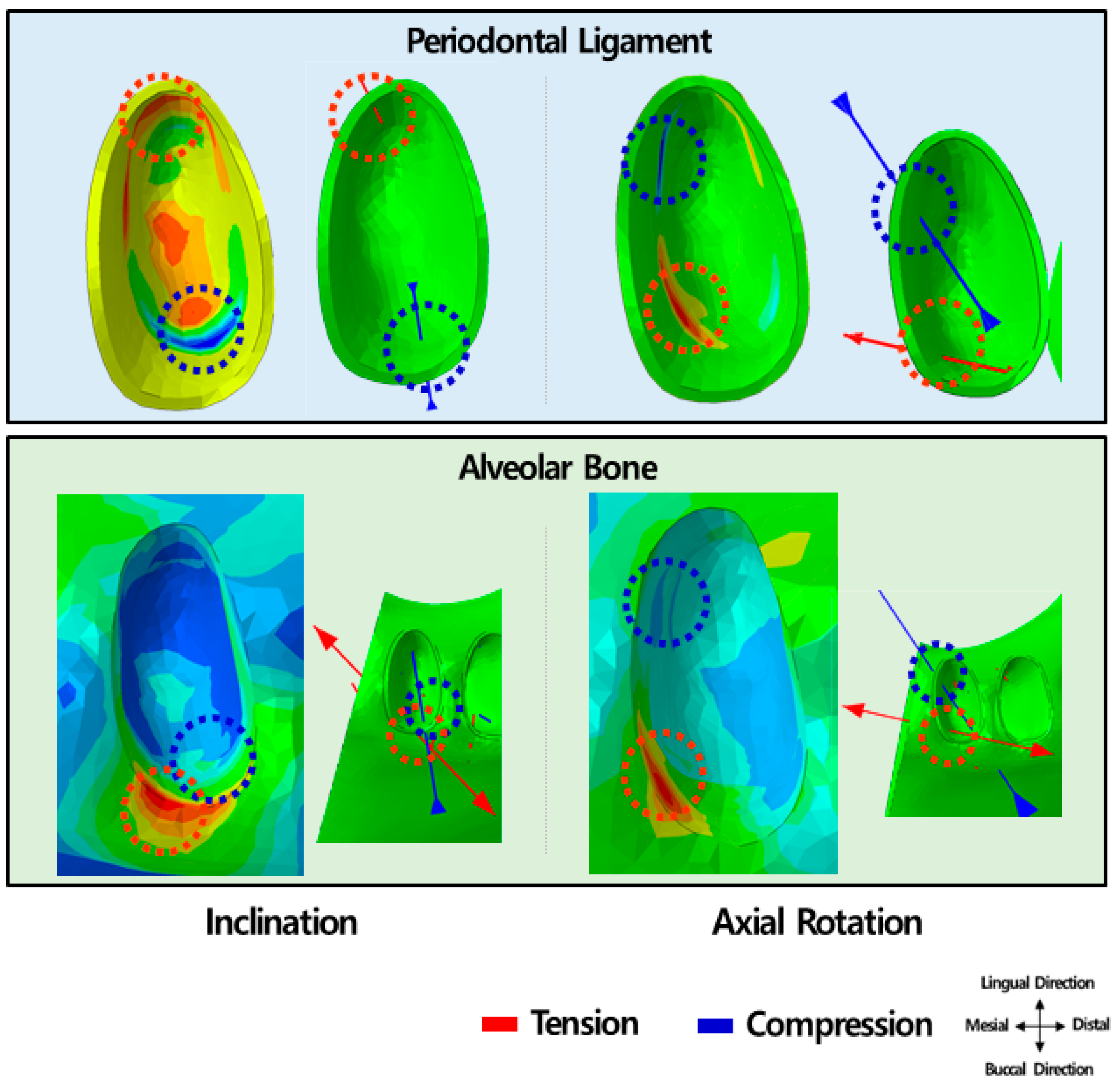 Materials 15 03118 g017