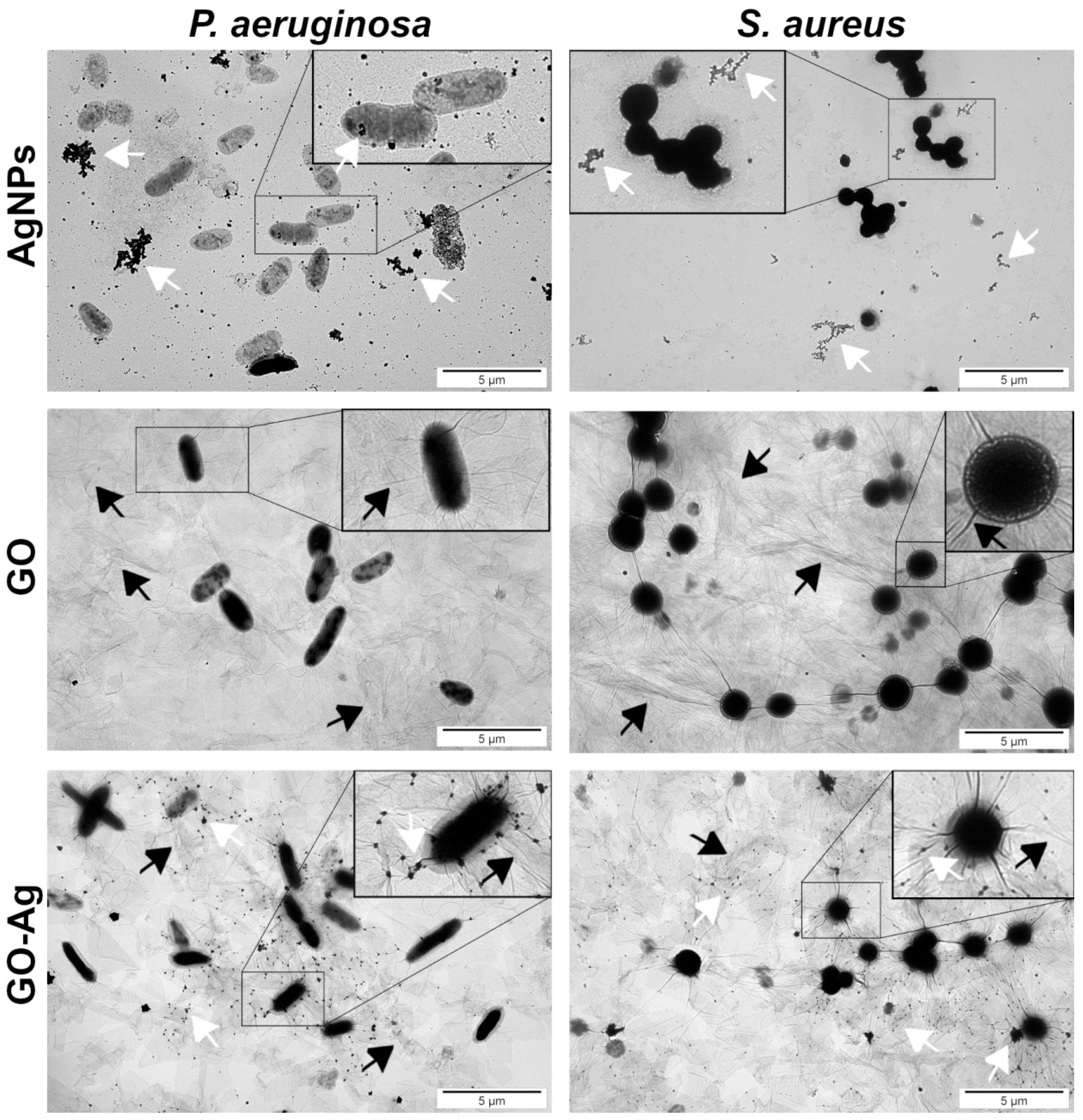 Materials 15 03122 g004