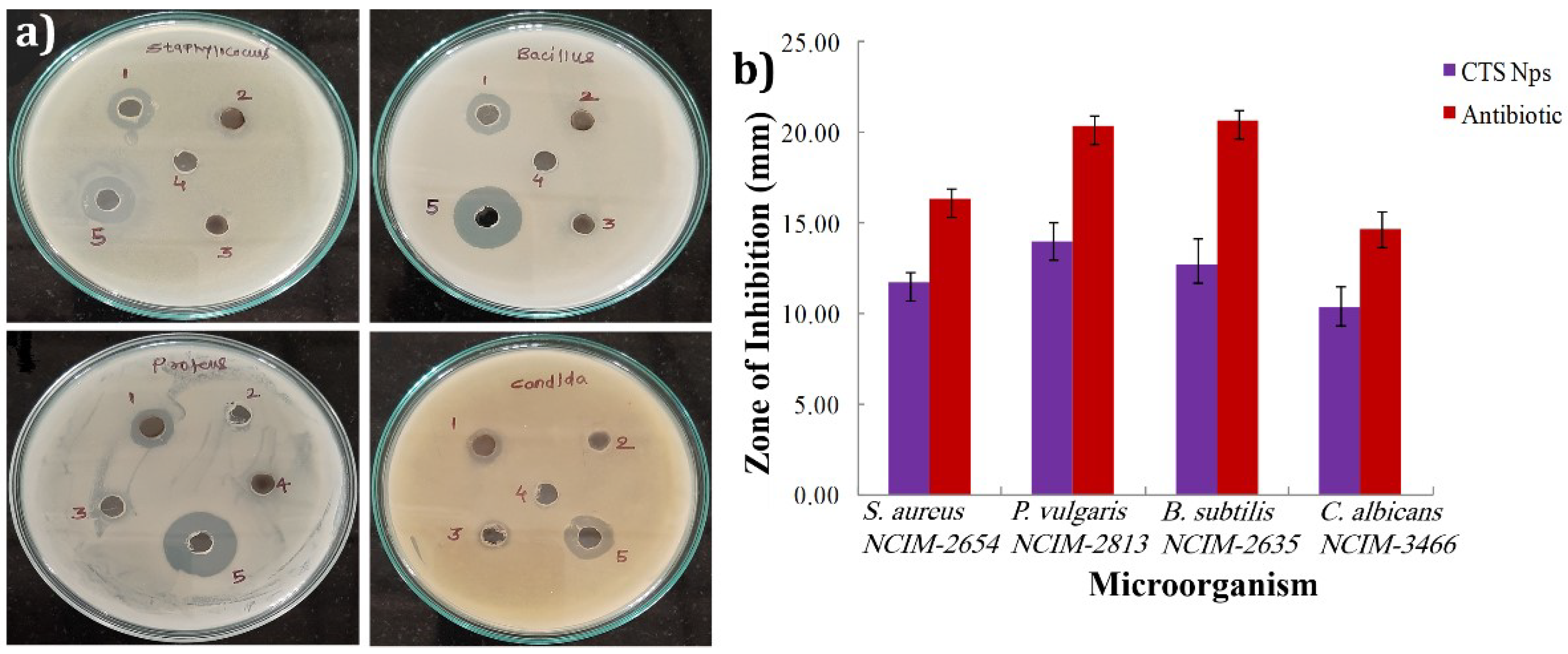 Materials 15 03126 g008
