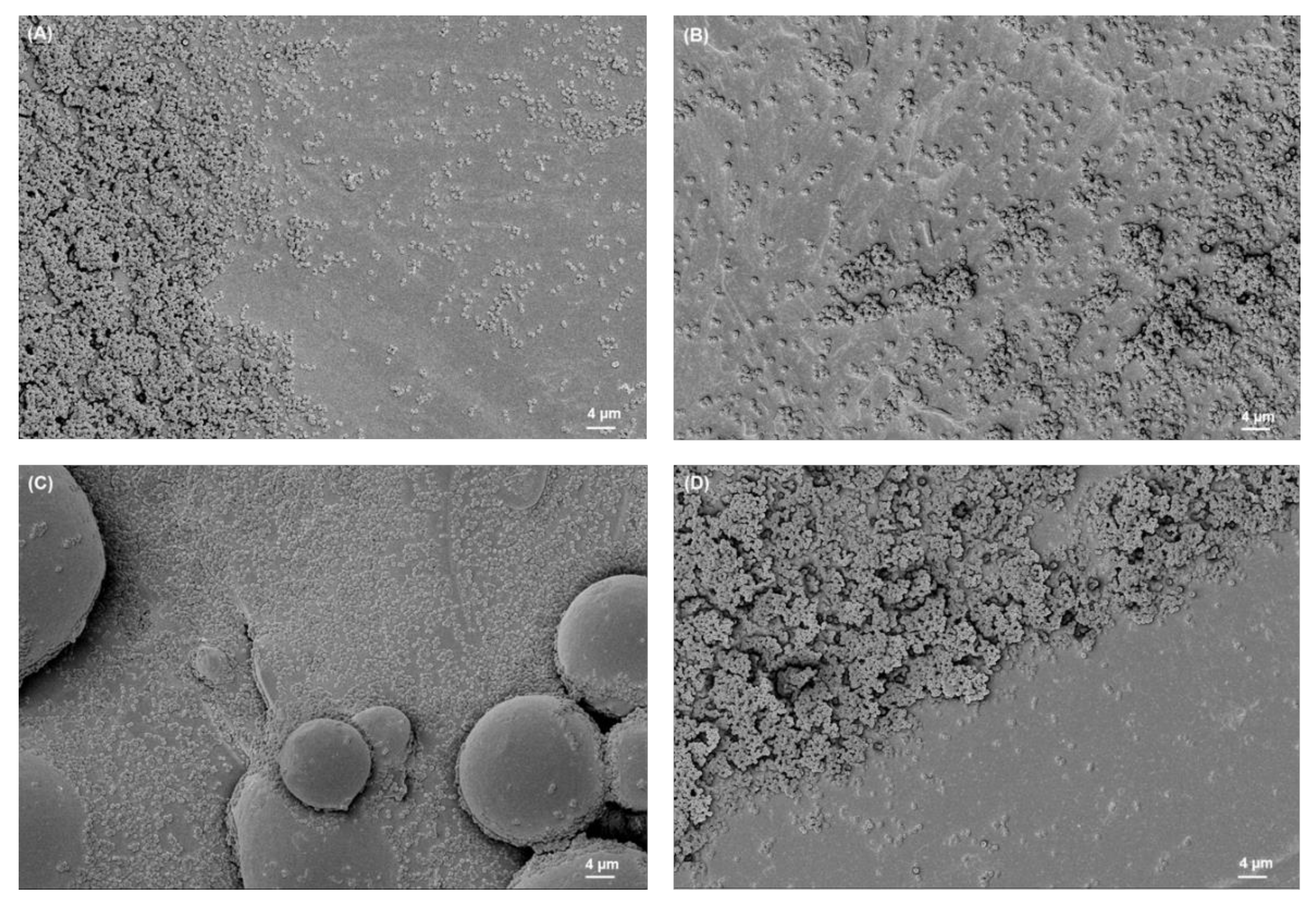 Materials 15 03228 g003