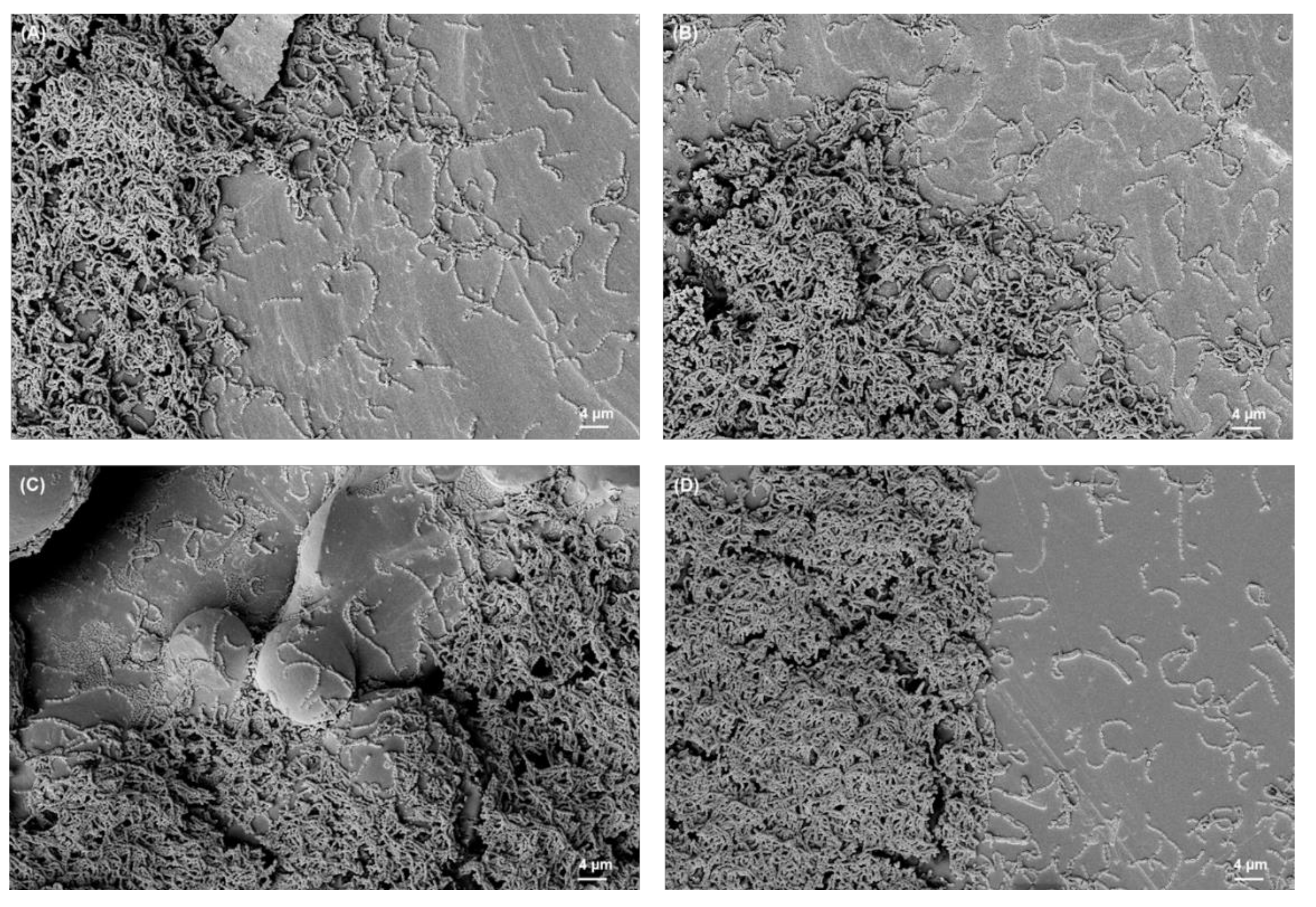 Materials 15 03228 g004