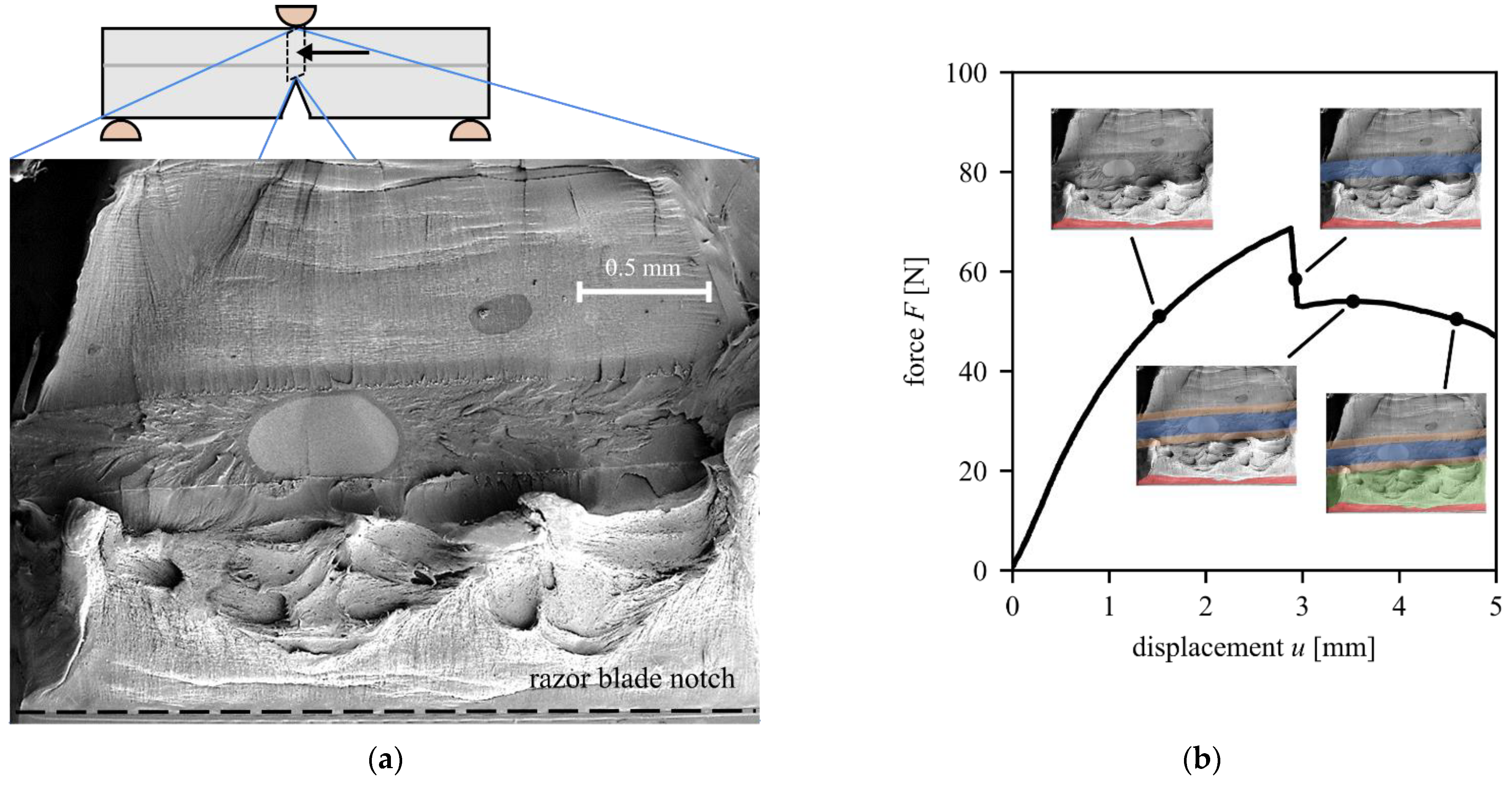 Materials 15 03273 g006