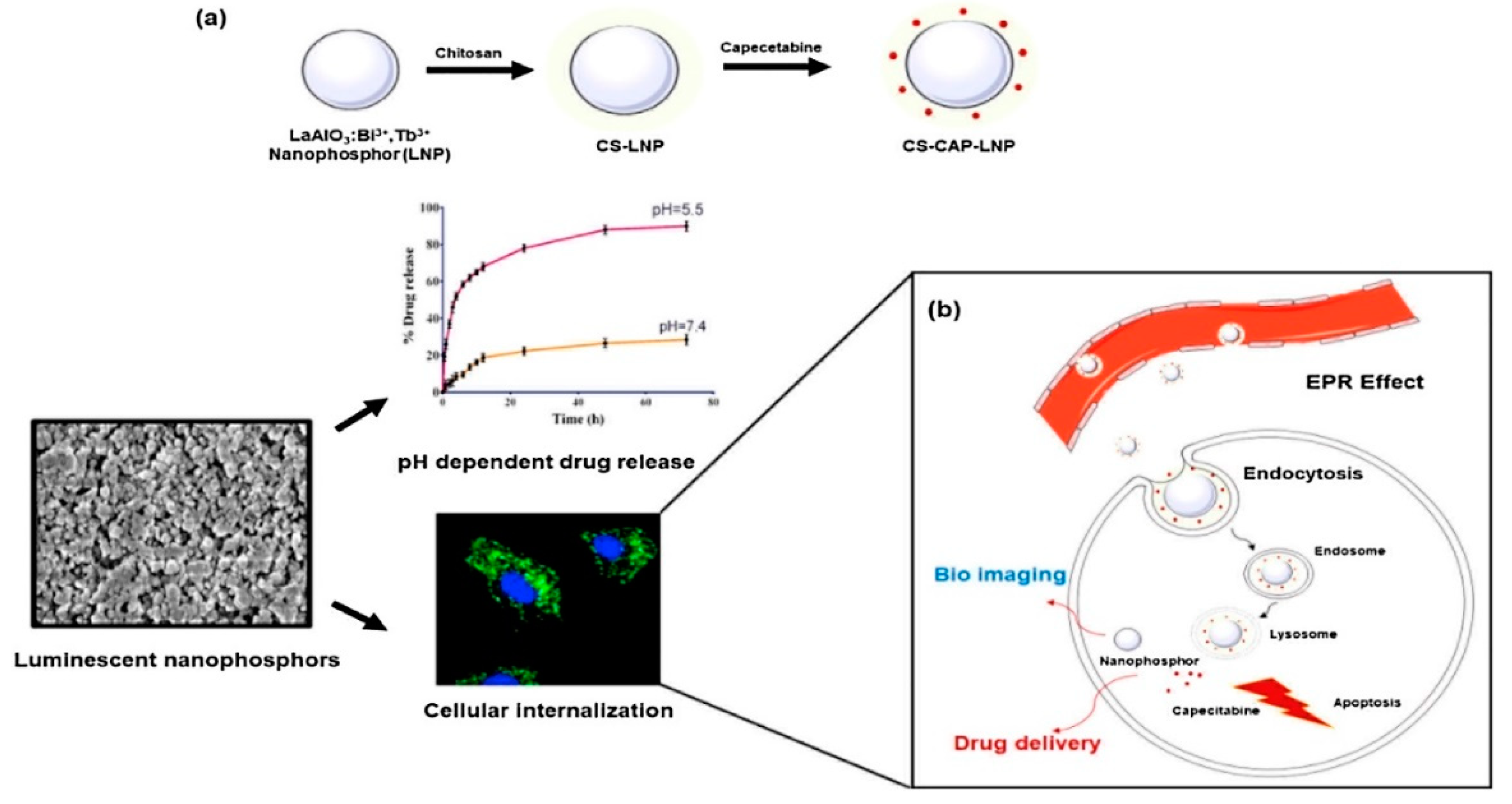 Materials 15 03288 g018