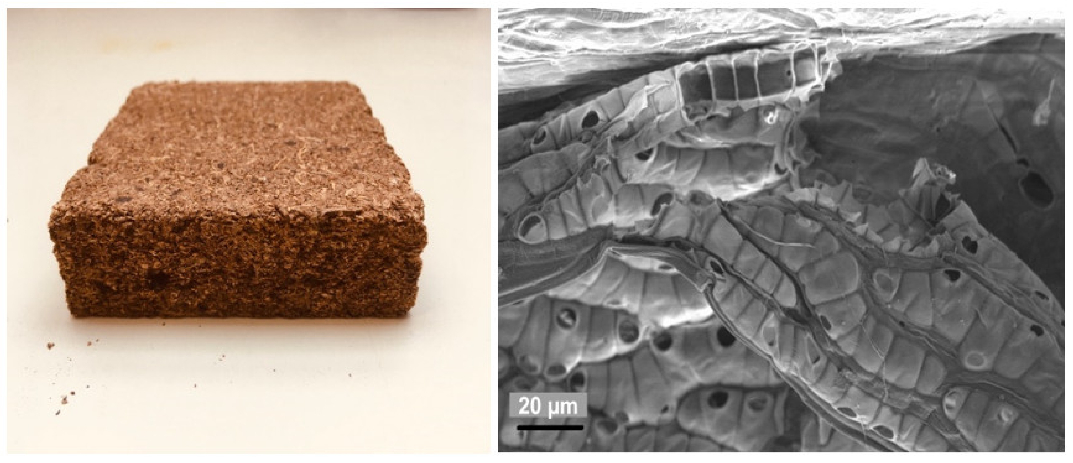 Materials 15 03299 g002