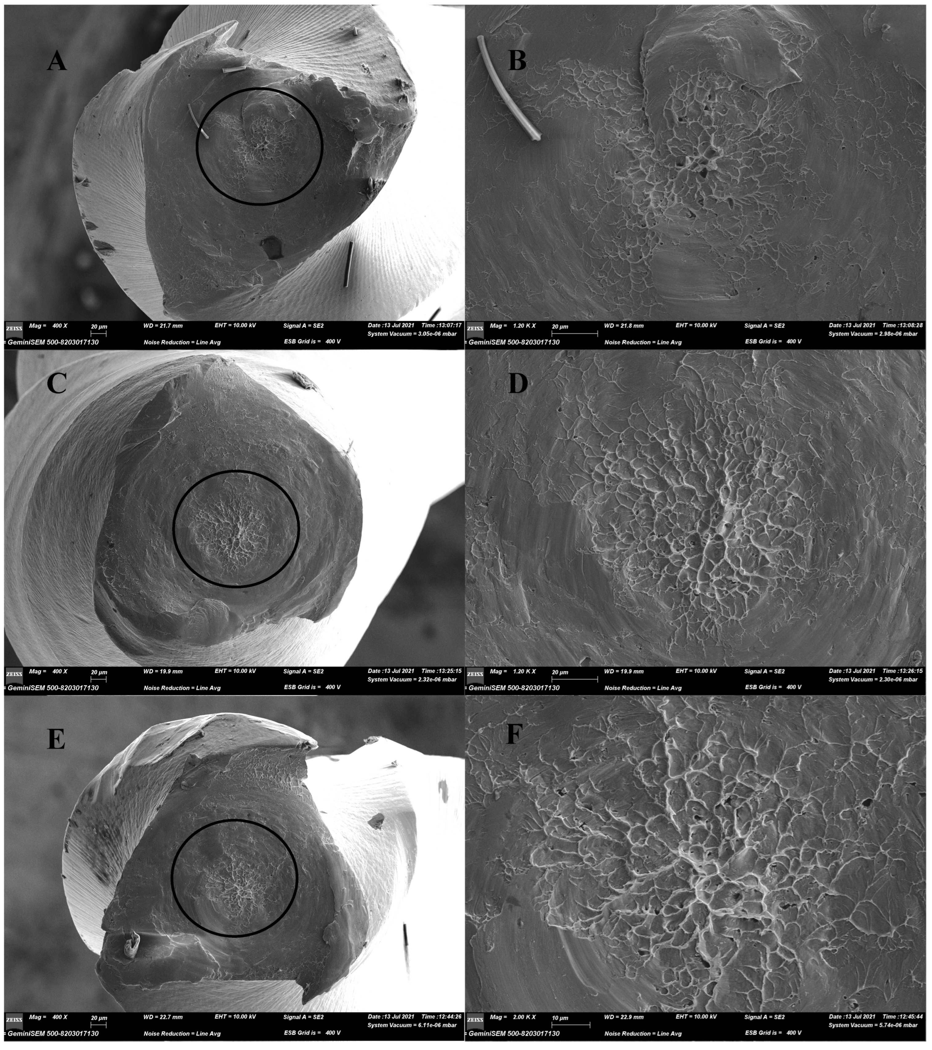 Materials 15 03330 g004