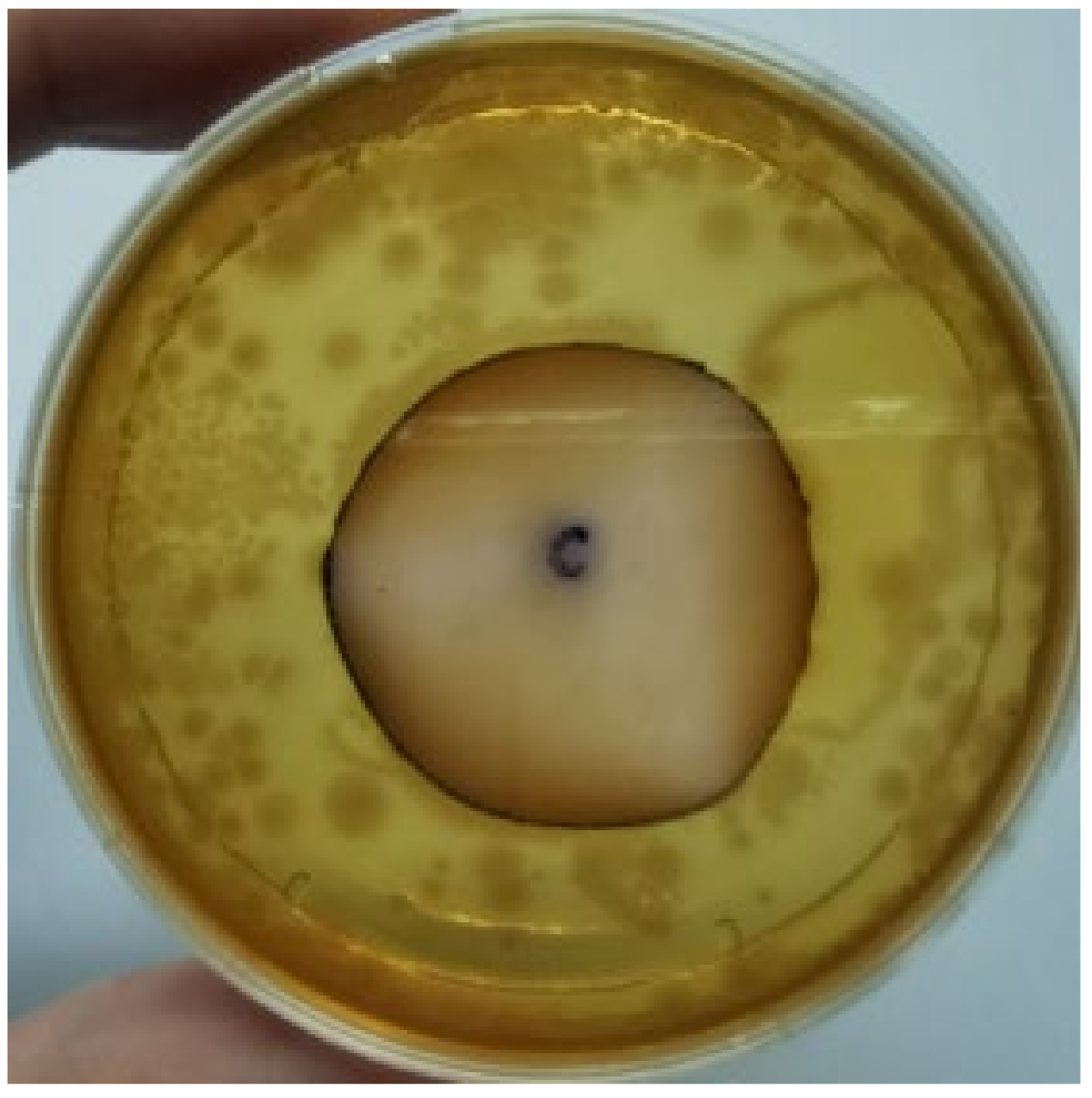 Materials 15 03433 g001