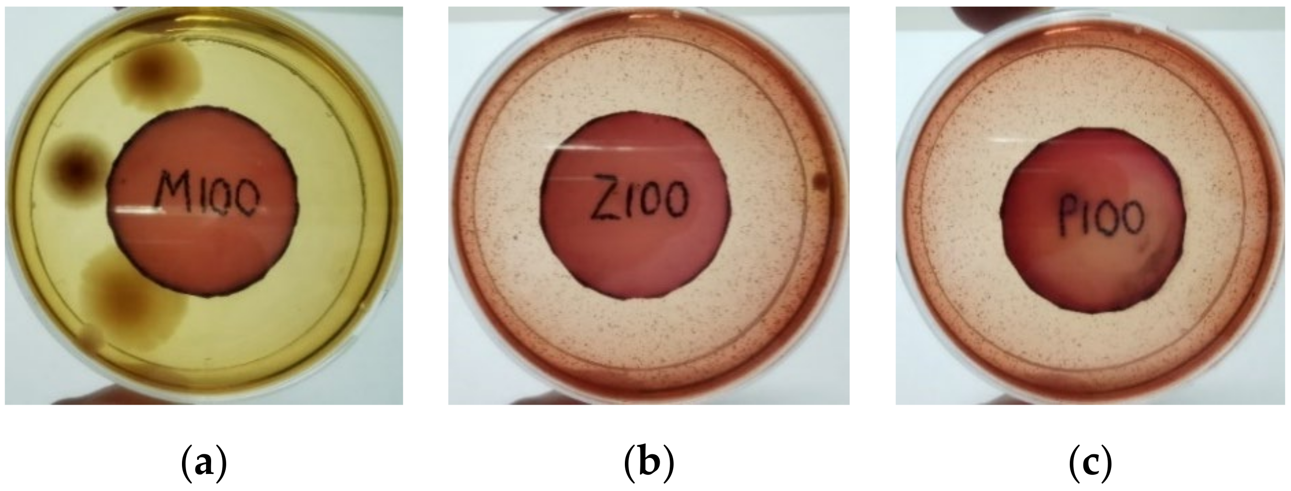 Materials 15 03433 g004