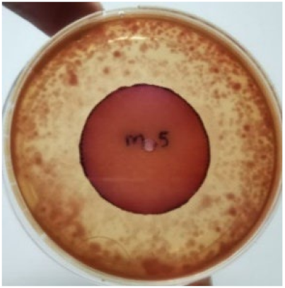 Materials 15 03433 i001