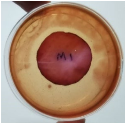 Materials 15 03433 i002