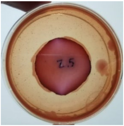 Materials 15 03433 i004