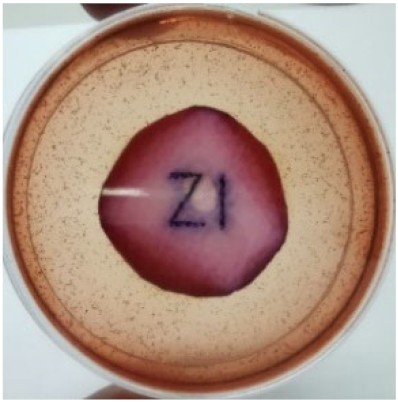 Materials 15 03433 i005