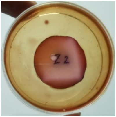 Materials 15 03433 i006