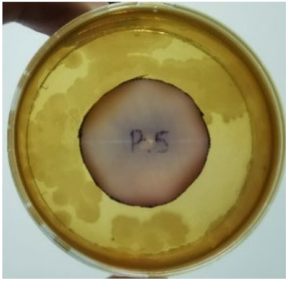 Materials 15 03433 i007