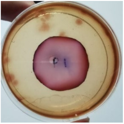 Materials 15 03433 i008