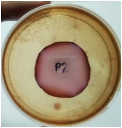 Materials 15 03433 i009