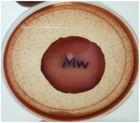 Materials 15 03433 i010