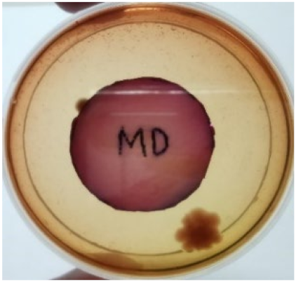 Materials 15 03433 i011