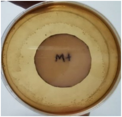 Materials 15 03433 i012