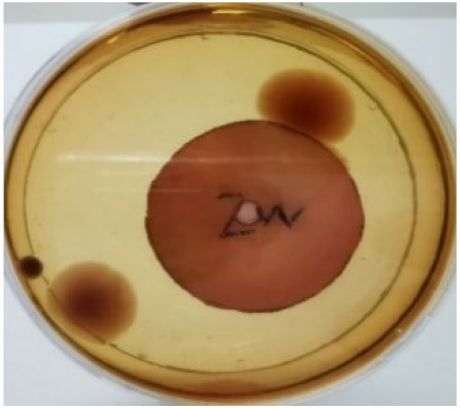 Materials 15 03433 i013