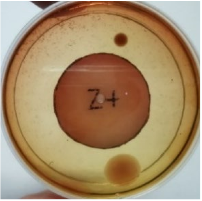 Materials 15 03433 i015