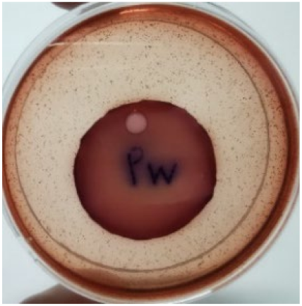 Materials 15 03433 i016