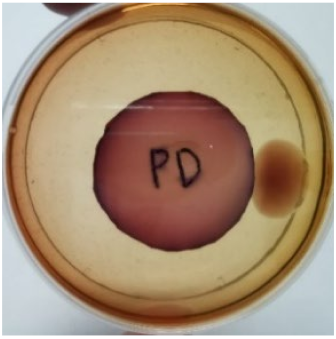 Materials 15 03433 i017